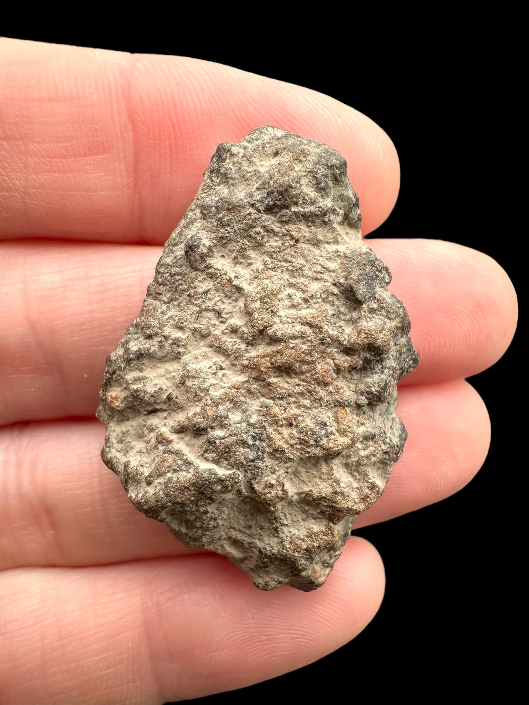 Meteorite Bechar 008, Howardite 9,5g – Algeria - MEBE42