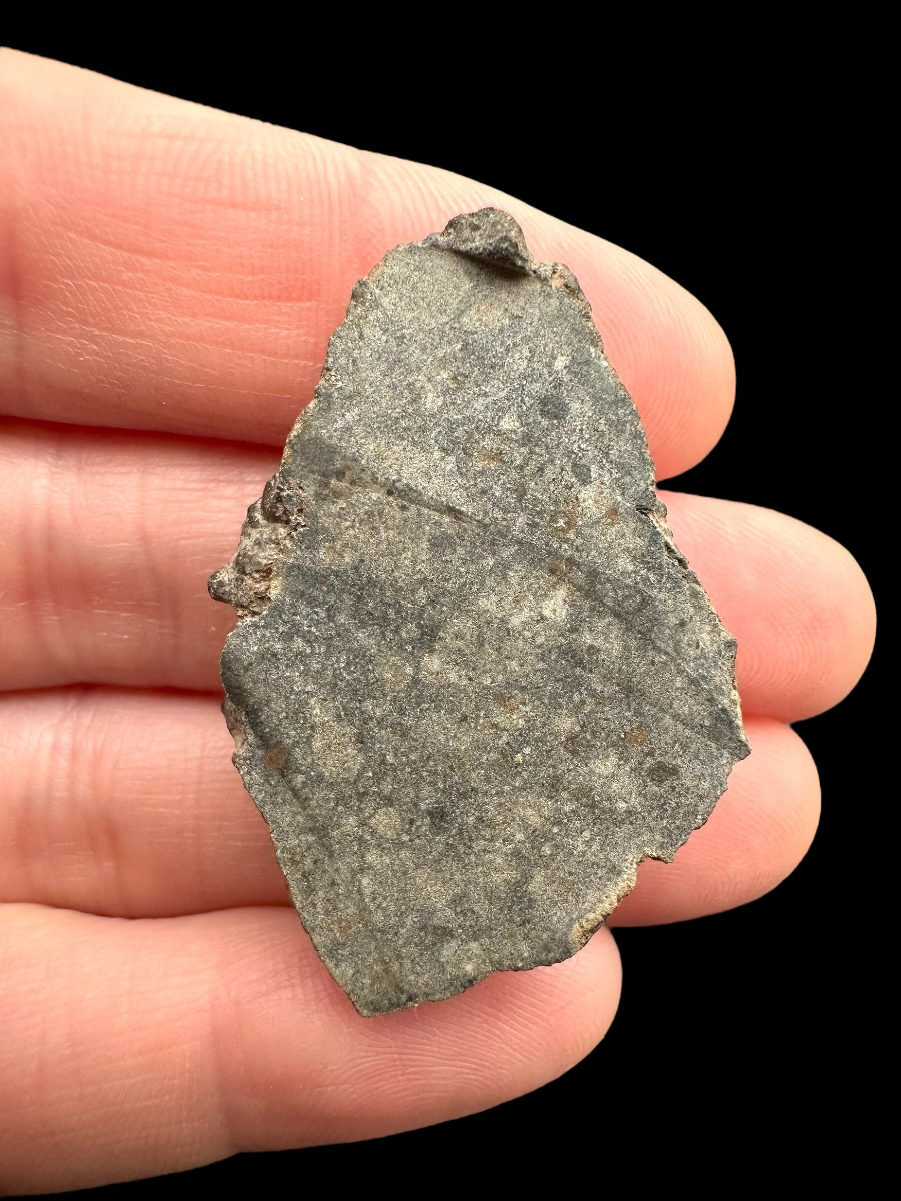 Meteorite Bechar 008, Howardite 9,5g – Algeria