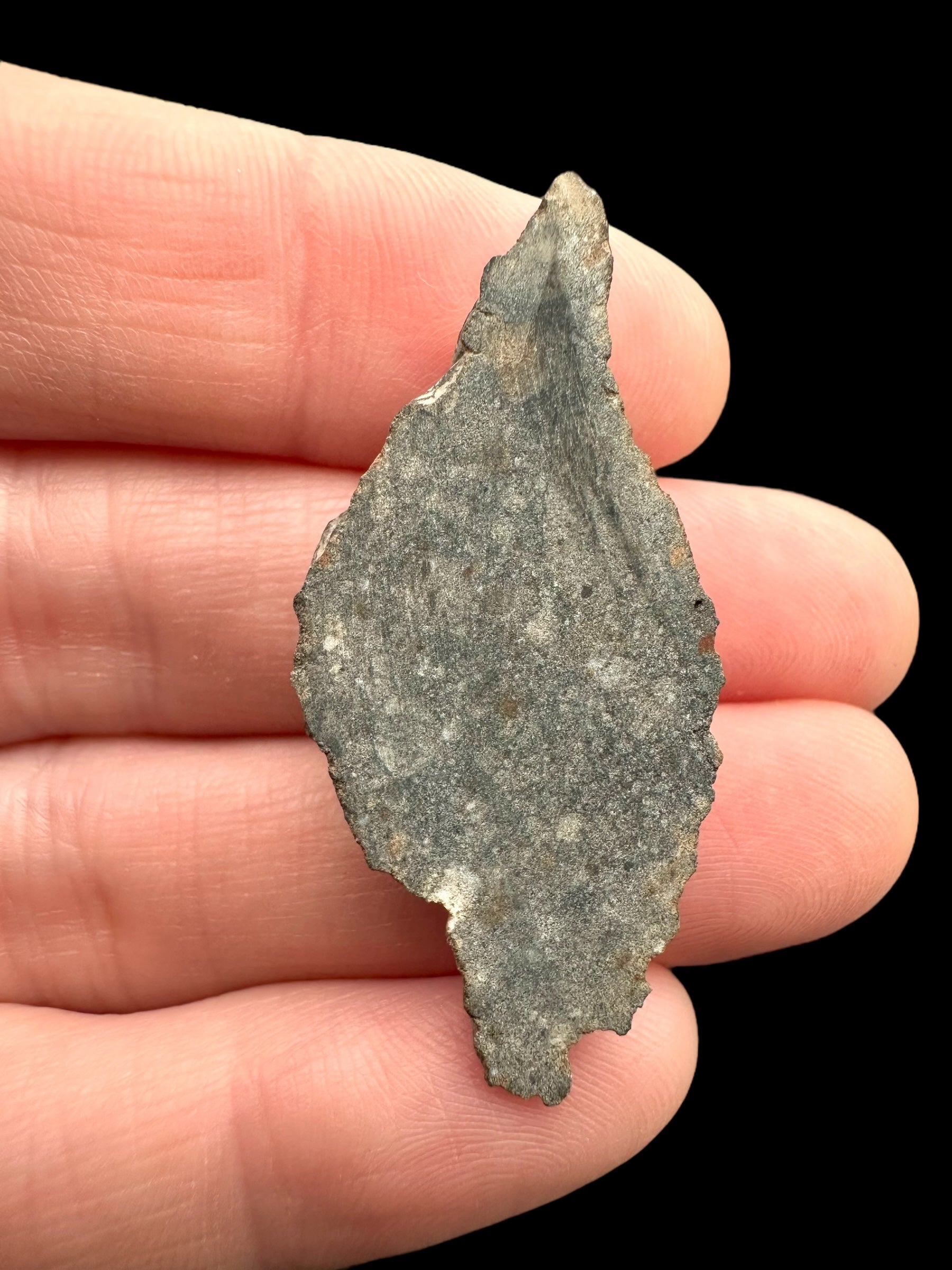 Meteorite Bechar 008, Howardite 5,9g – Algeria