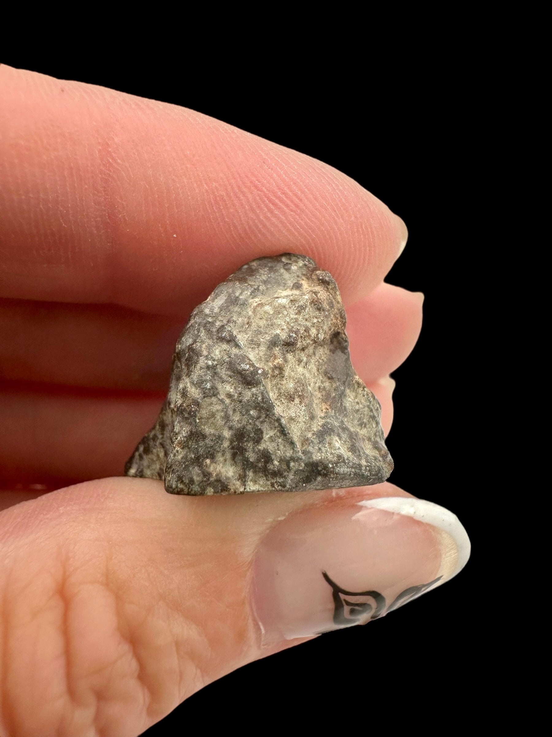 Meteorite Bechar 008, Howardite 9,6g – Algeria - MEBE45