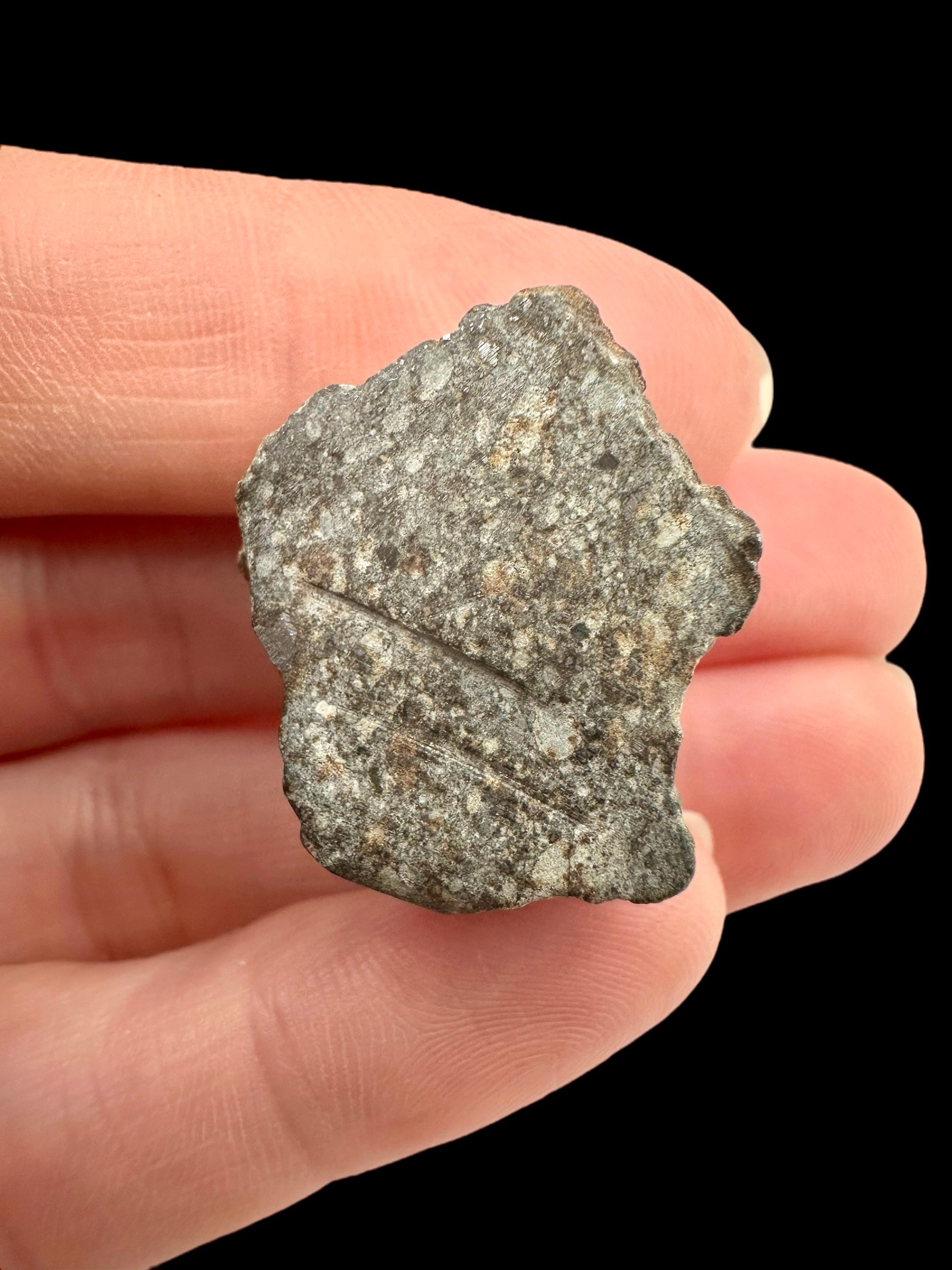 Meteorite Bechar 008, Howardite 9,6g – Algeria