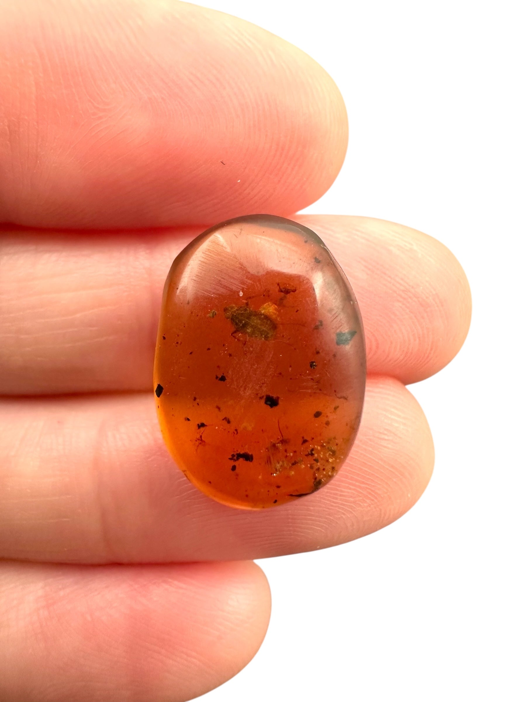 Insect in amber – Hukawng, Myanmar - IJ090