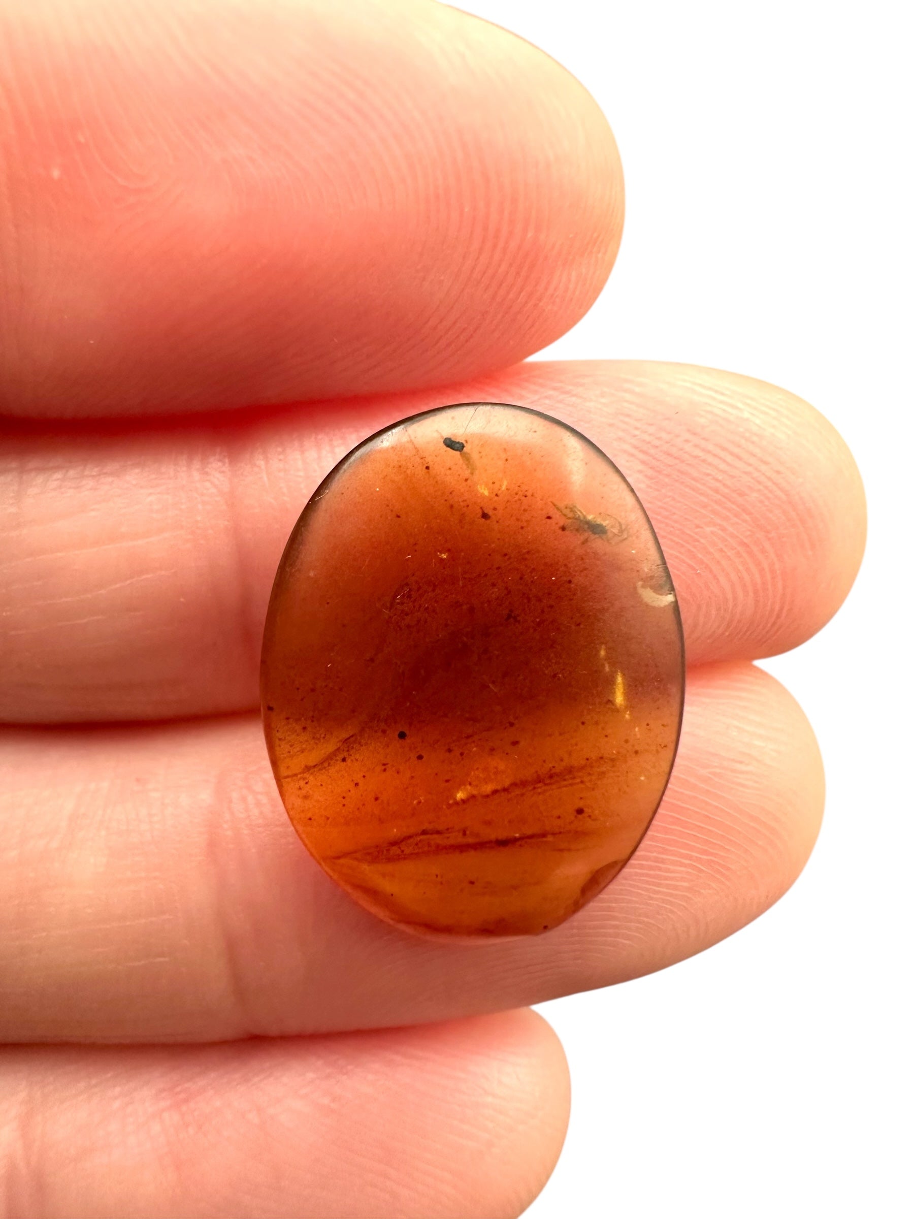 Insect in amber – Hukawng, Myanmar - IJ092