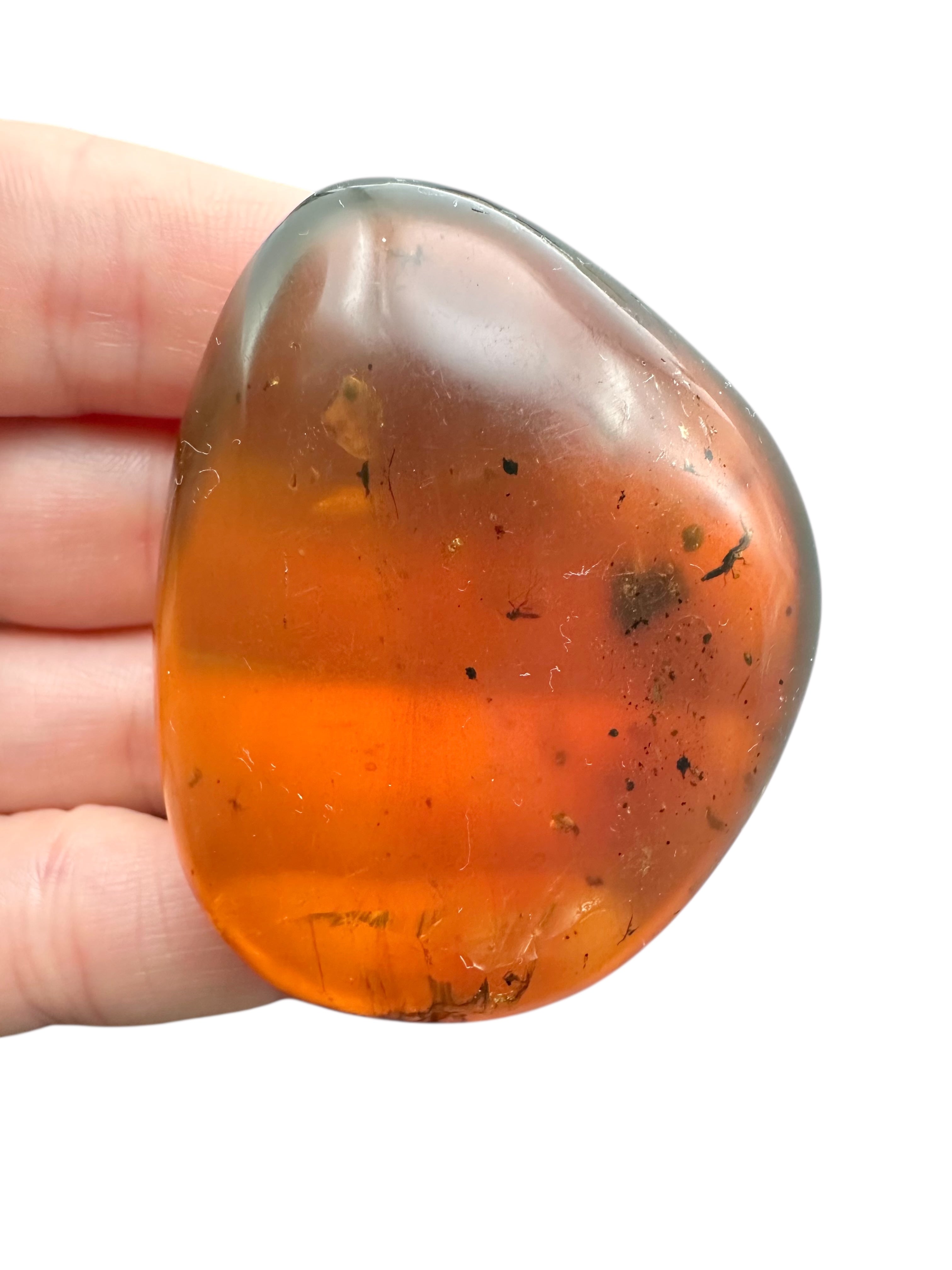 Insect in amber – Hukawng, Myanmar - IJ094