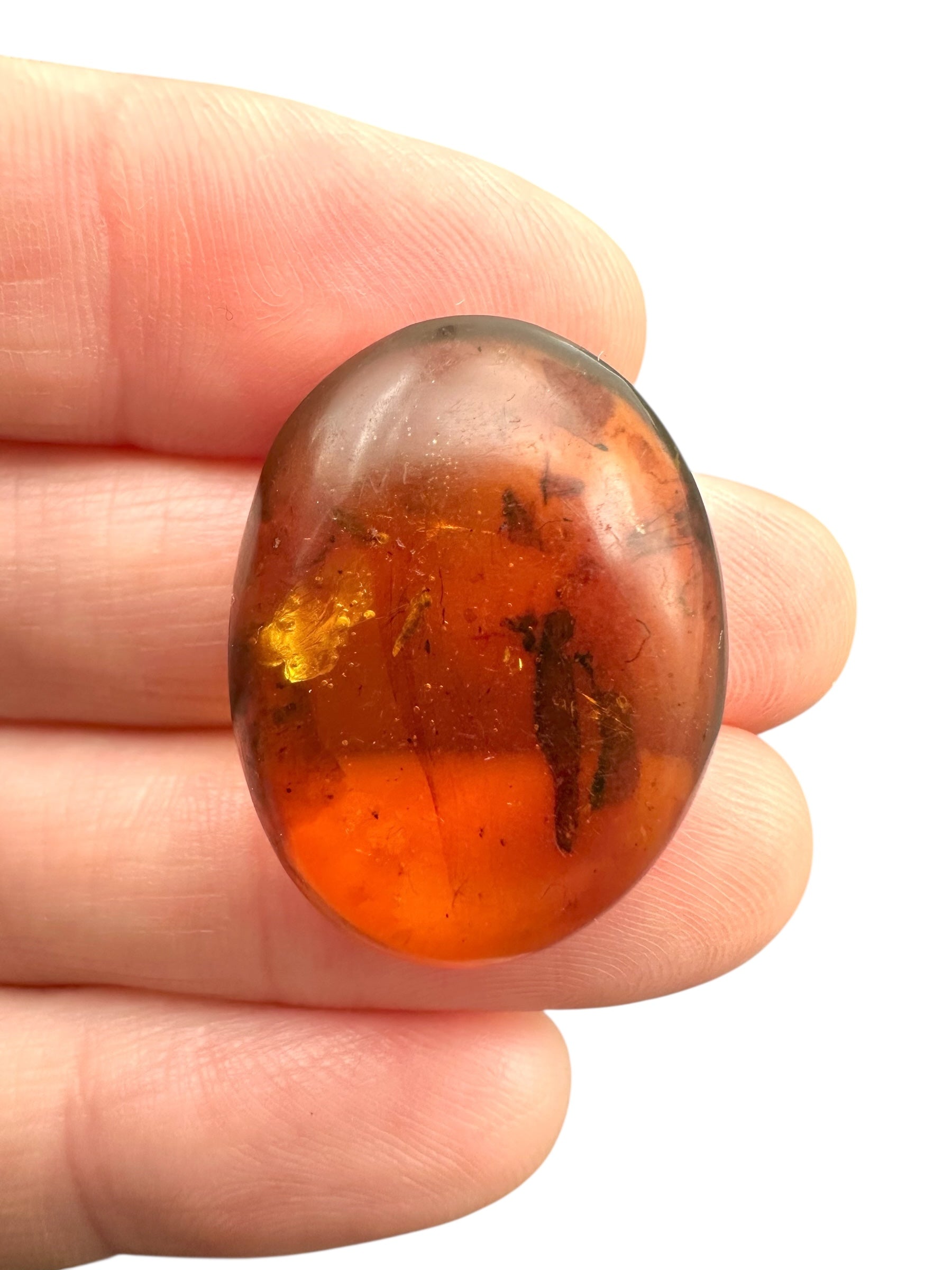 Insect in amber – Hukawng, Myanmar - IJ095