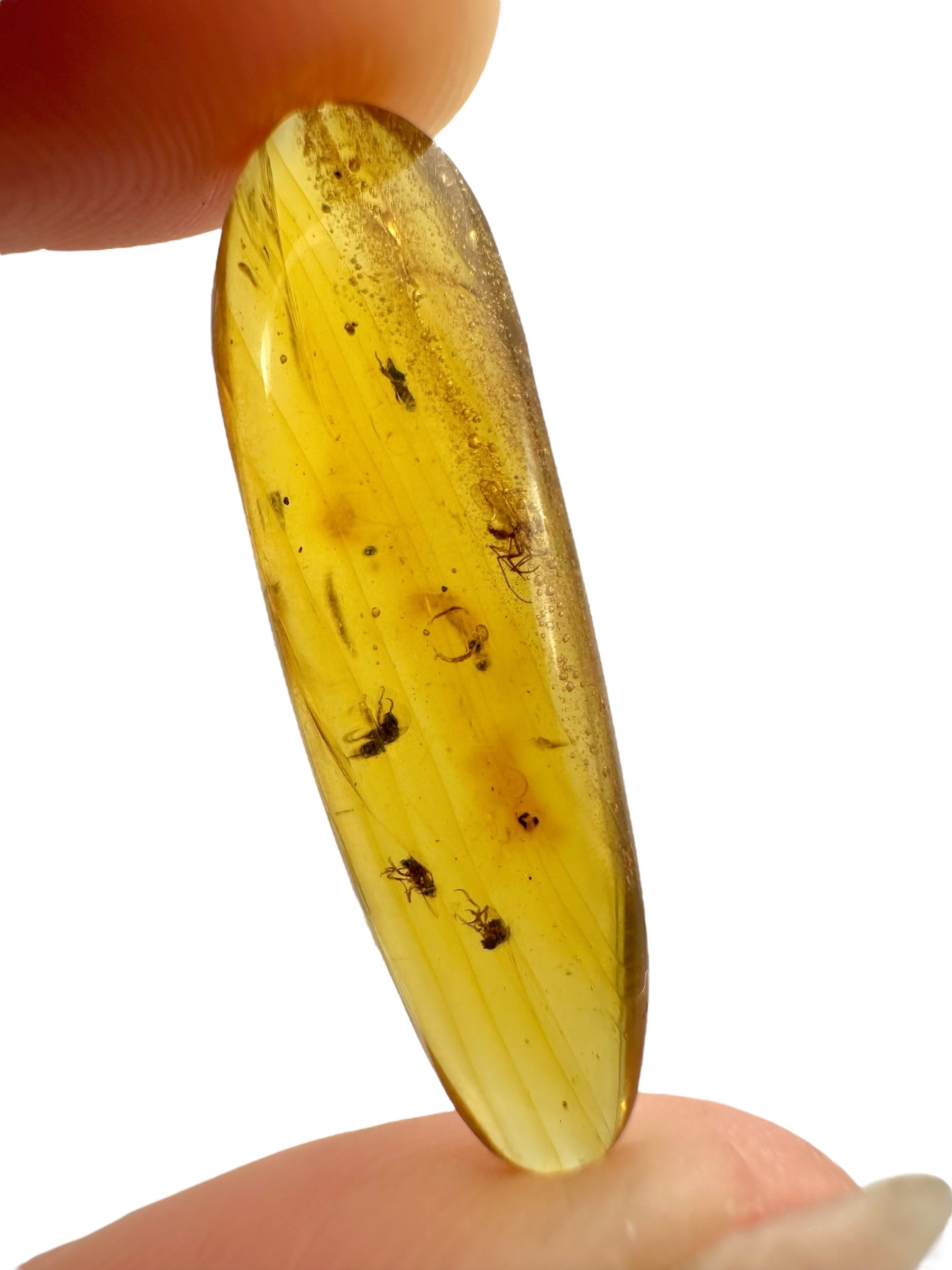 Insect in amber – Hukawng, Myanmar - IJ096