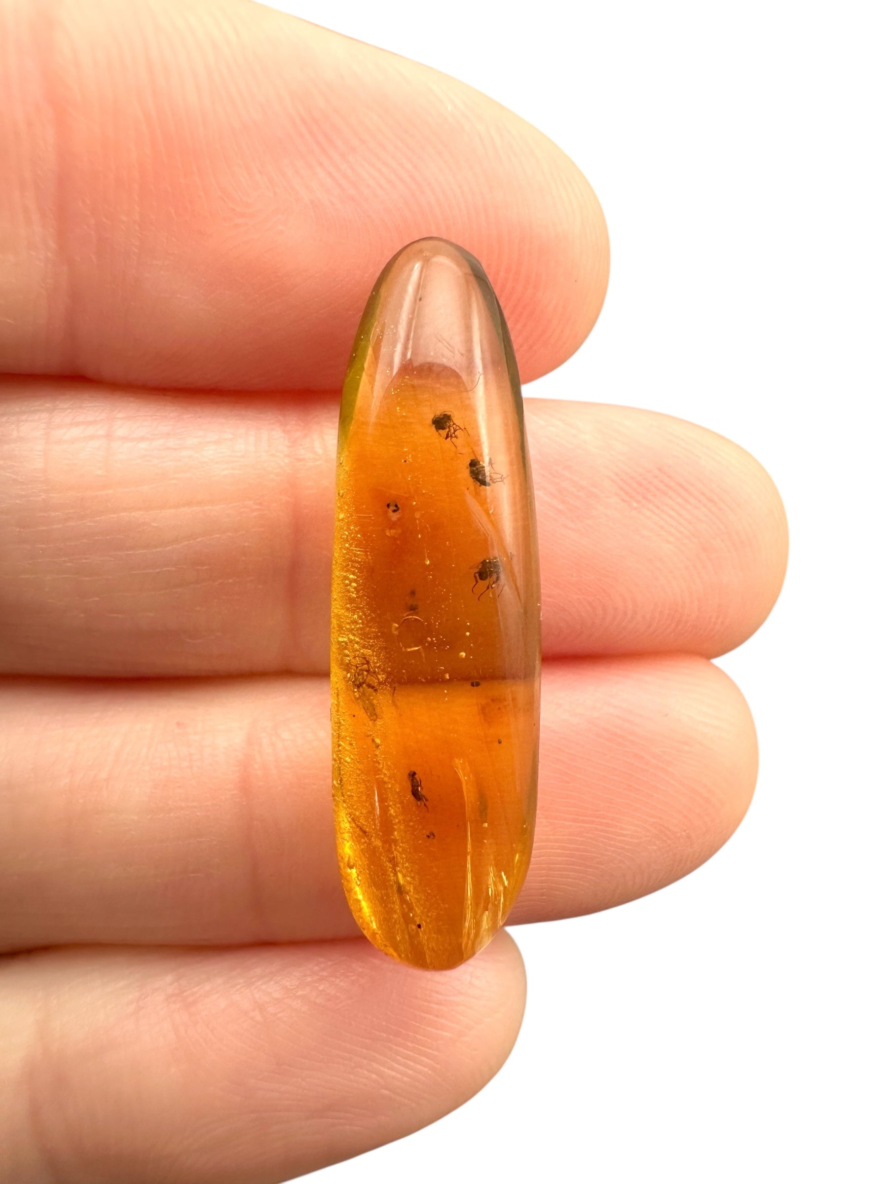 Insect in amber – Hukawng, Myanmar - IJ096