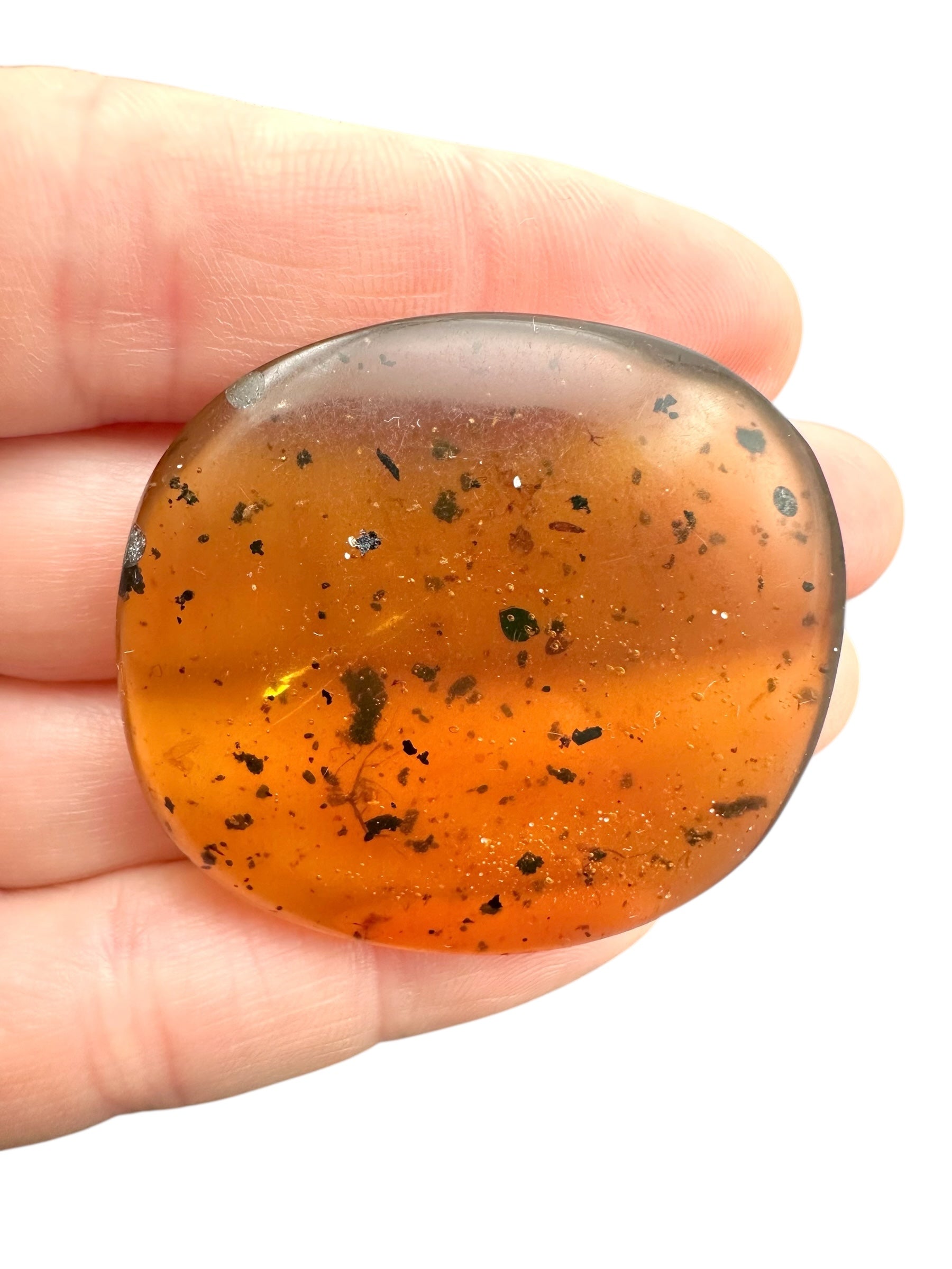 Insect in amber – Hukawng, Myanmar - IJ097