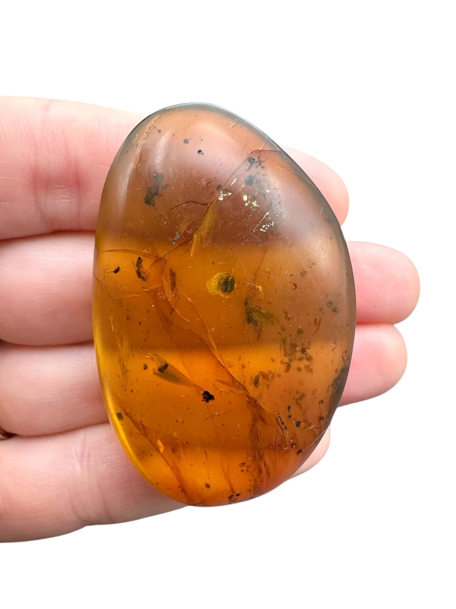Insect in amber – Hukawng, Myanmar - IJ099