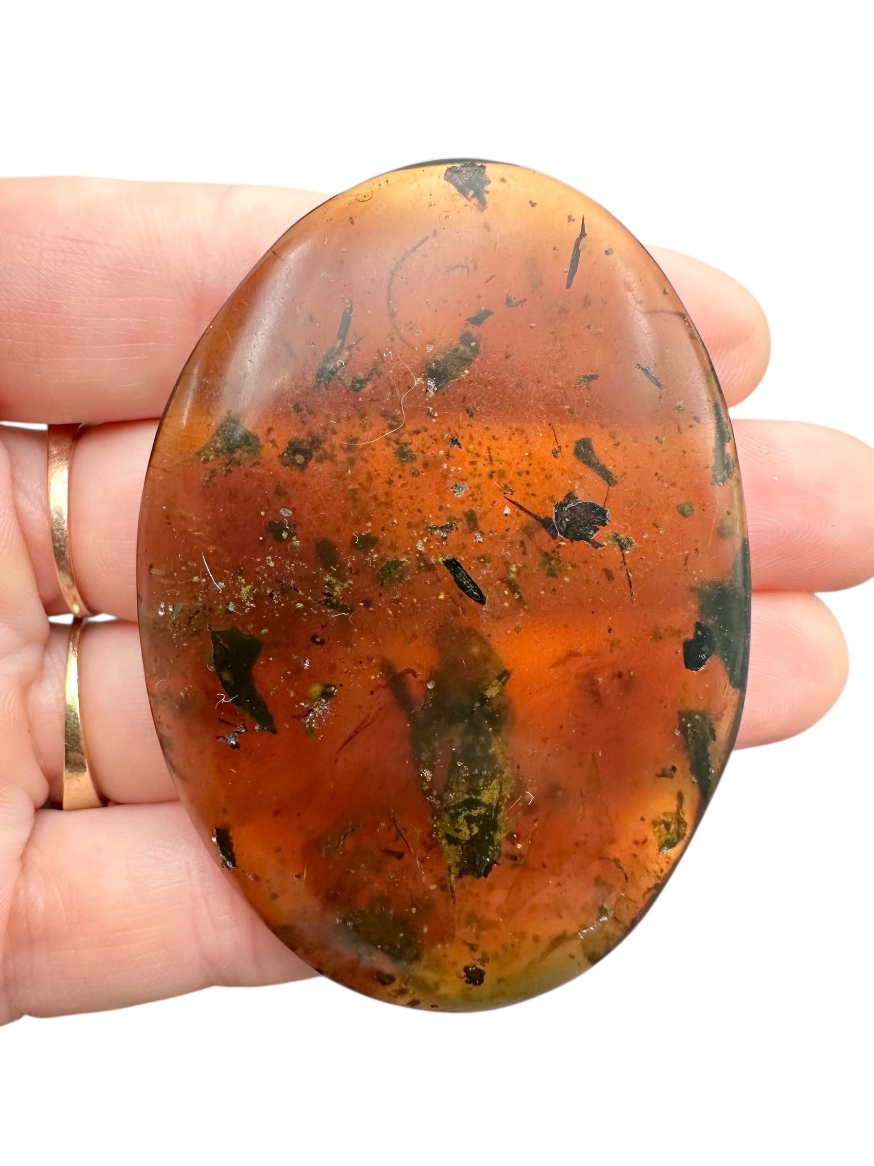 Insect in amber – Hukawng, Myanmar - IJ101