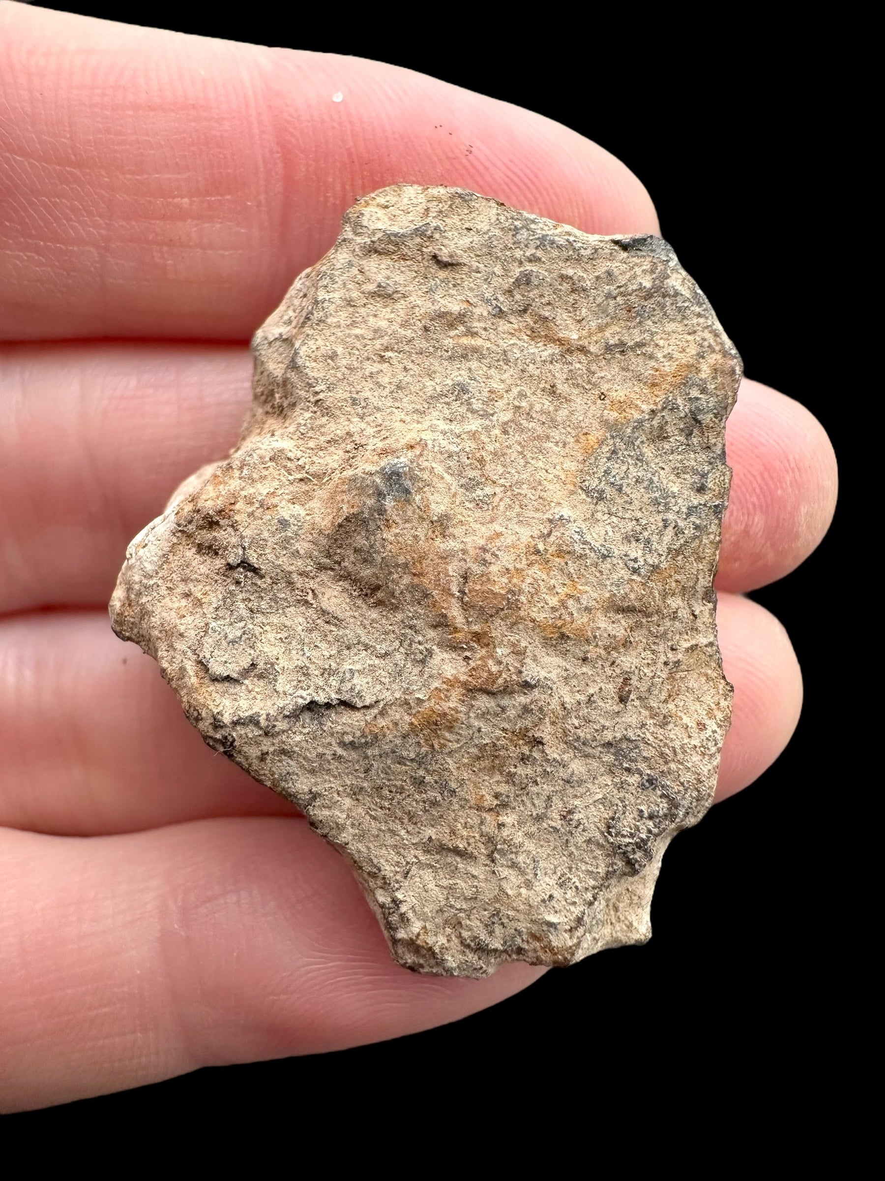 Meteorite Canyon Diablo 34,7g – Arizona, USA - MECD64