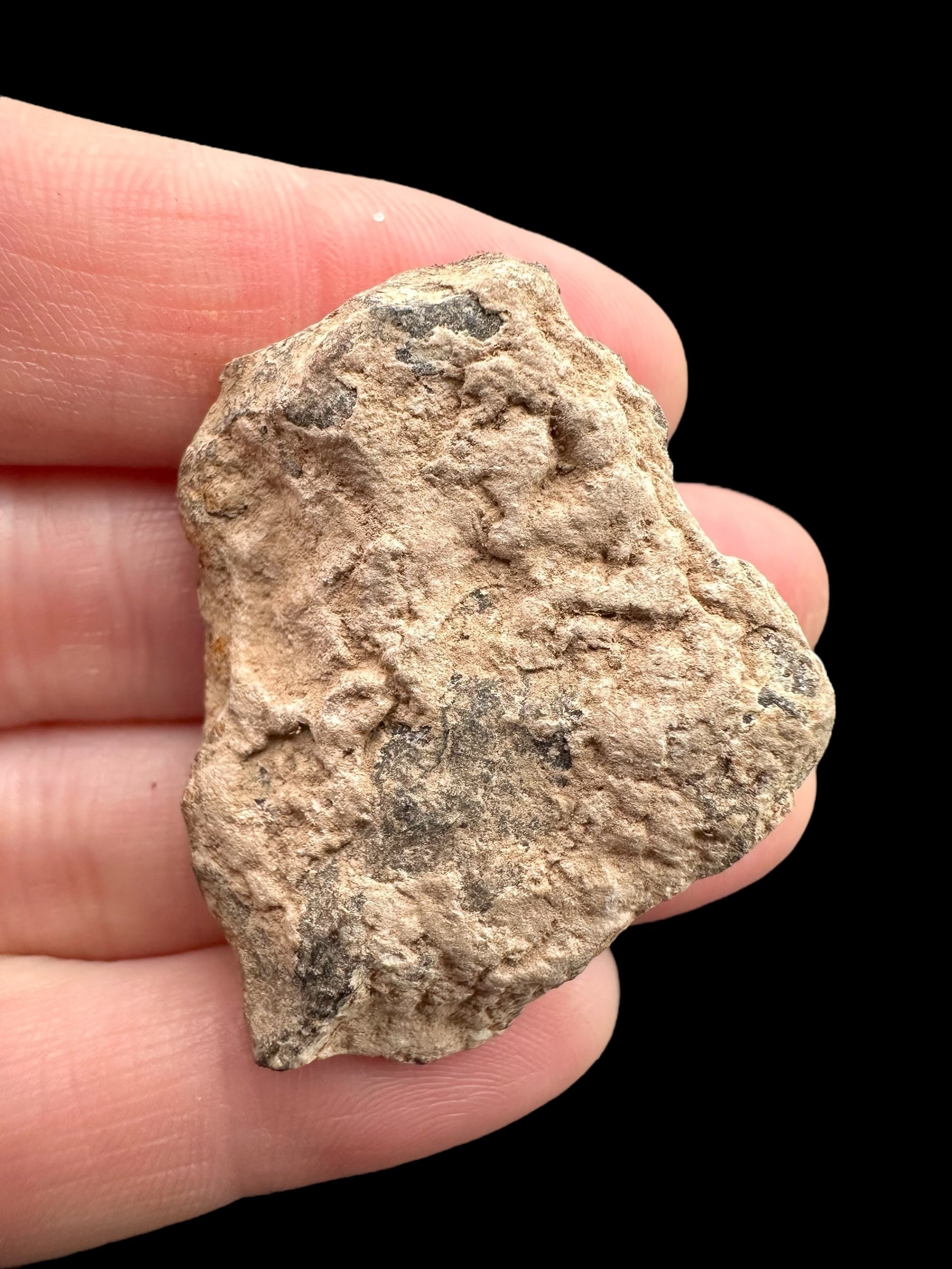 Meteorite Canyon Diablo 34,7g – Arizona, USA
