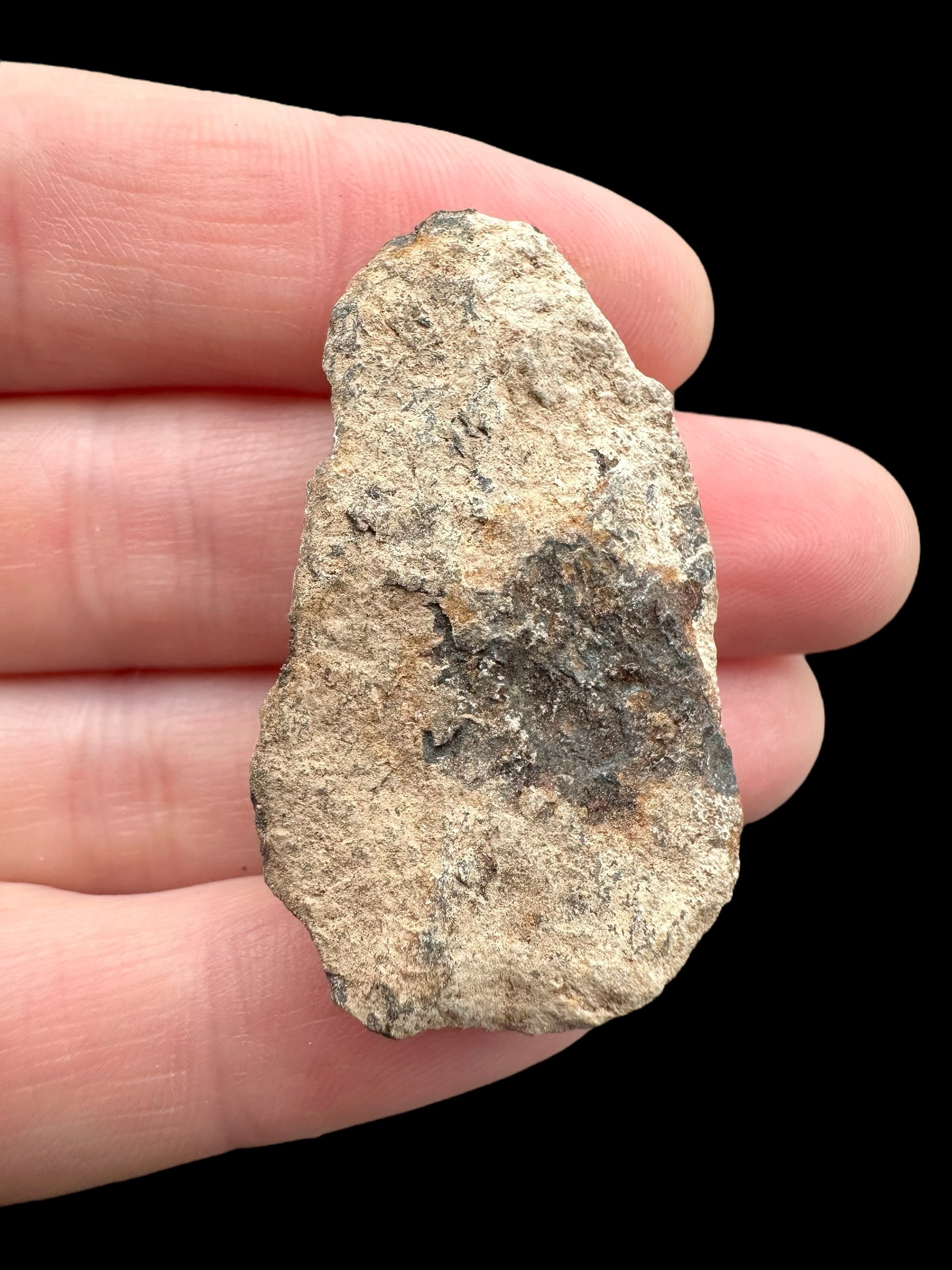 Meteorite Canyon Diablo 25,9g – Arizona, USA - MECD65