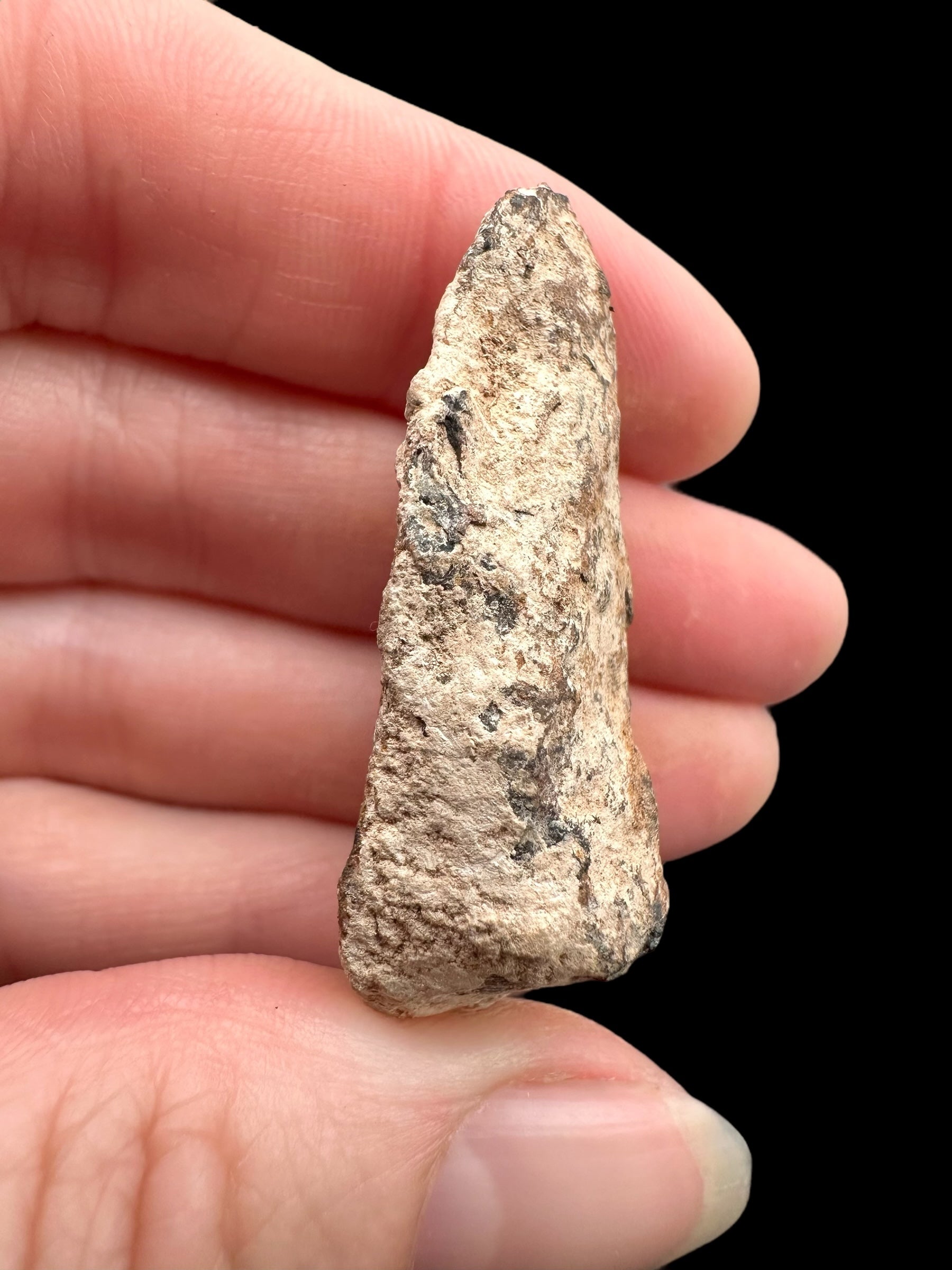Meteorite Canyon Diablo 25,9g – Arizona, USA - MECD65