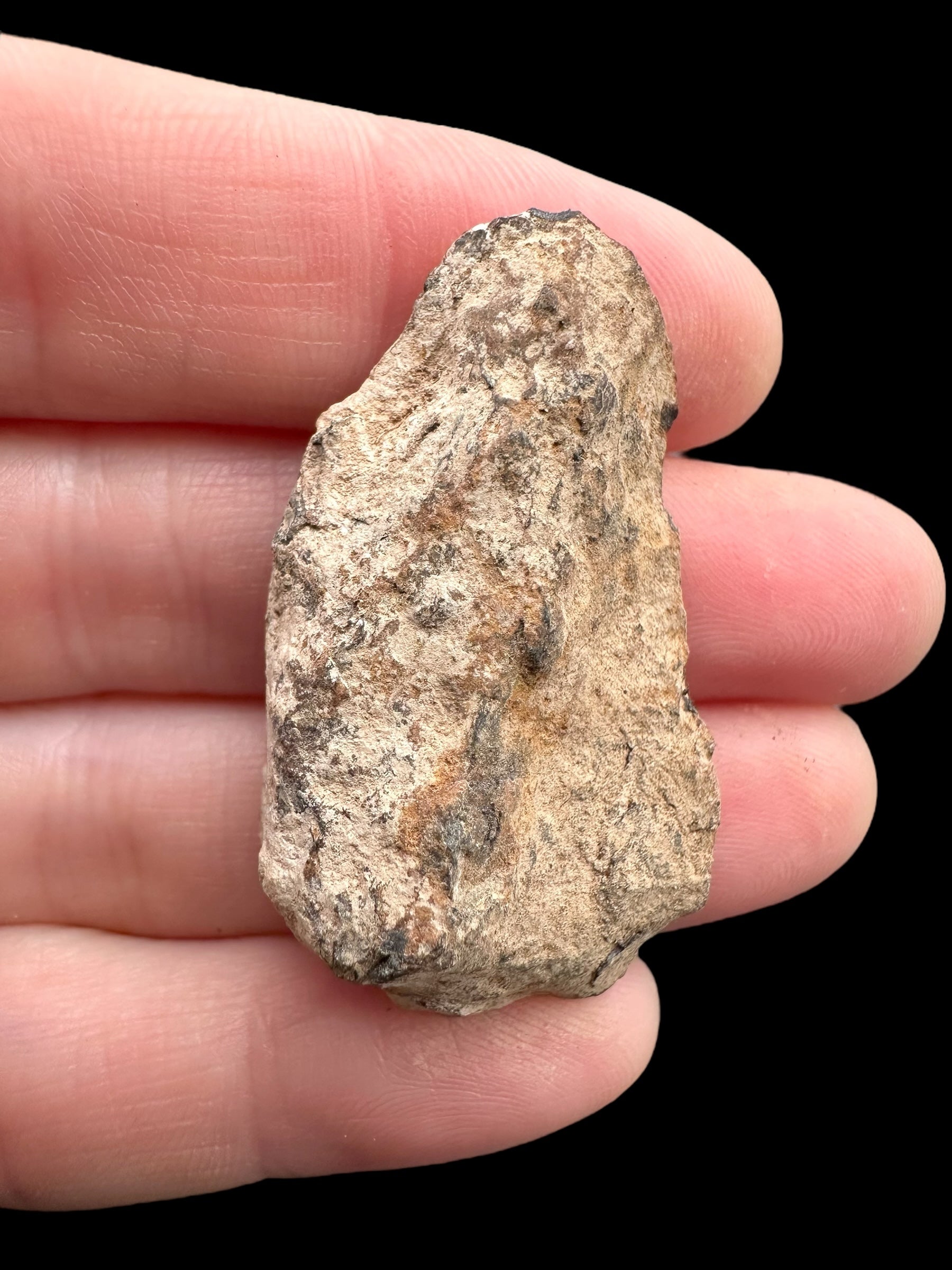 Meteorite Canyon Diablo 25,9g – Arizona, USA