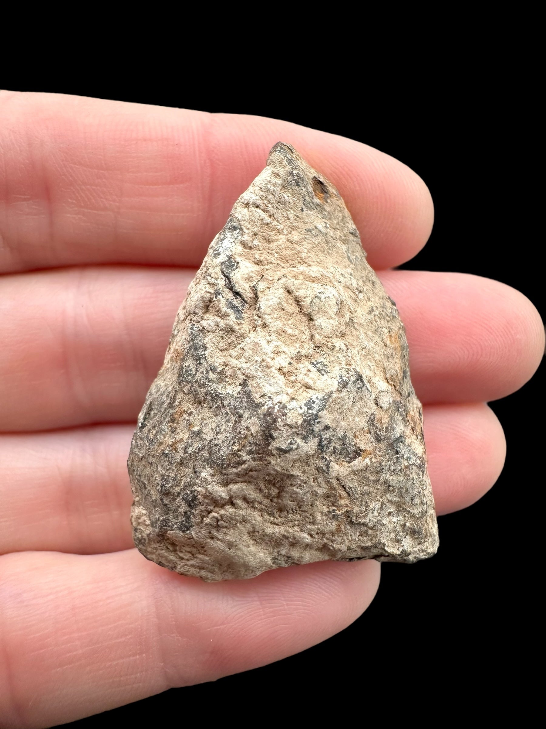 Meteorite Canyon Diablo 35,5g – Arizona, USA - MECD67