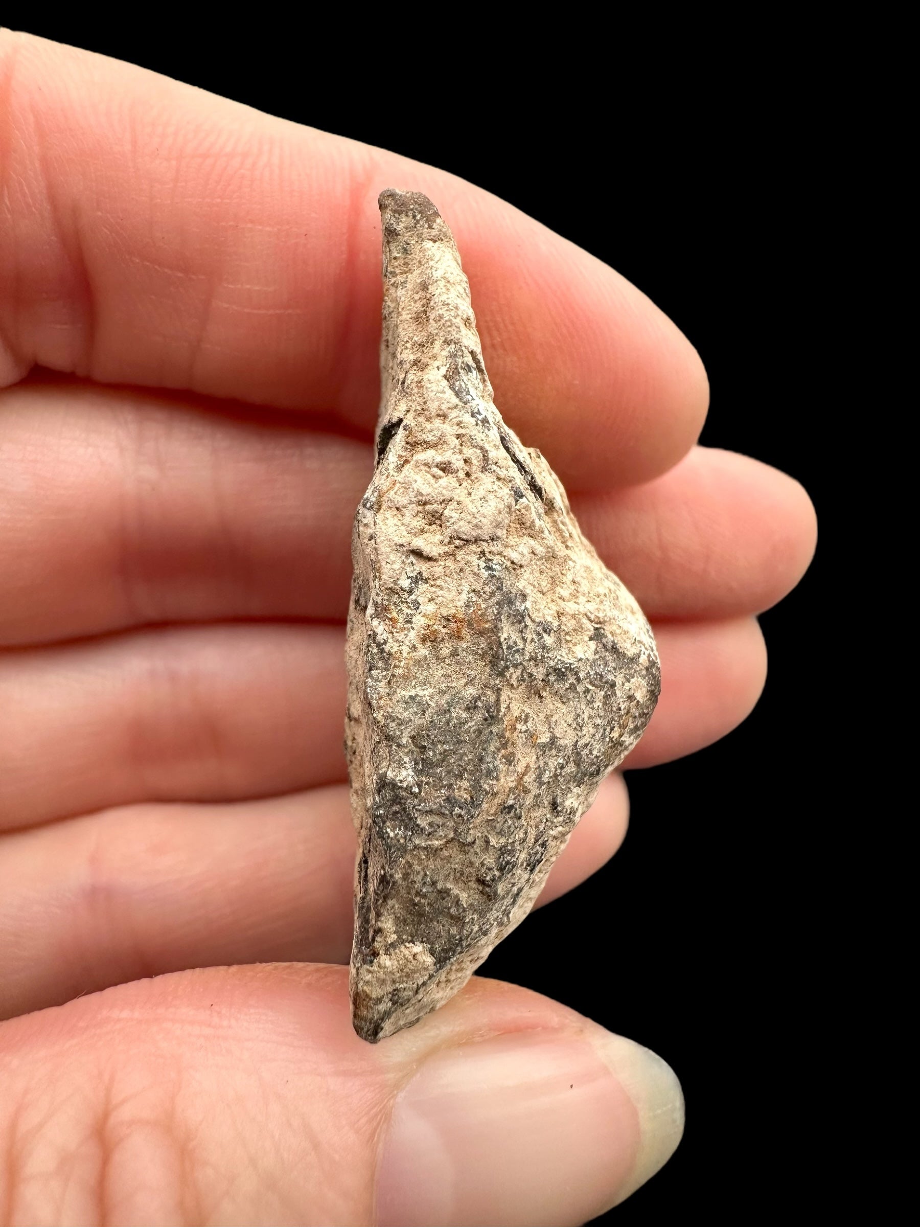 Meteorite Canyon Diablo 35,5g – Arizona, USA - MECD67