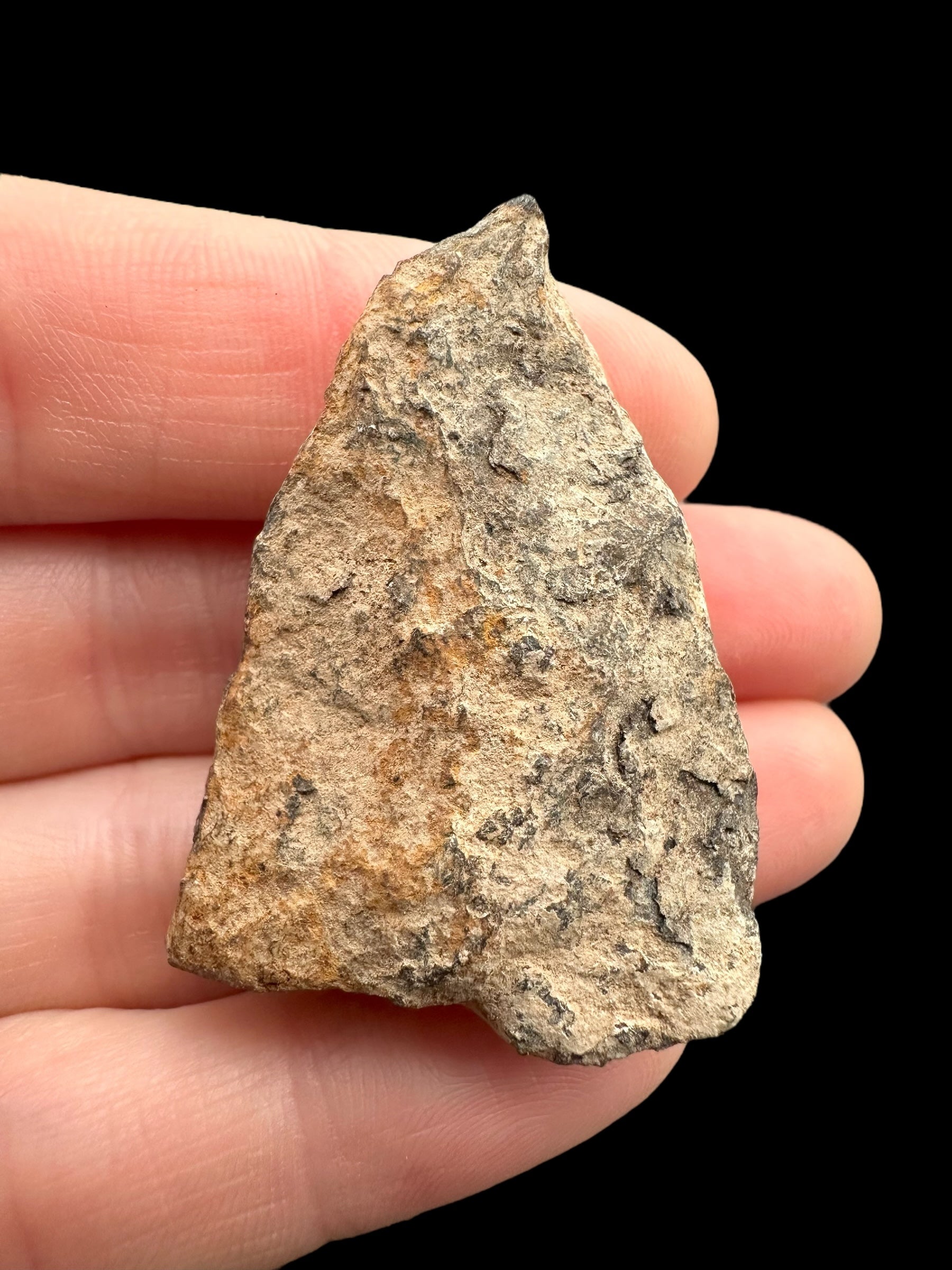 Meteorite Canyon Diablo 35,5g – Arizona, USA
