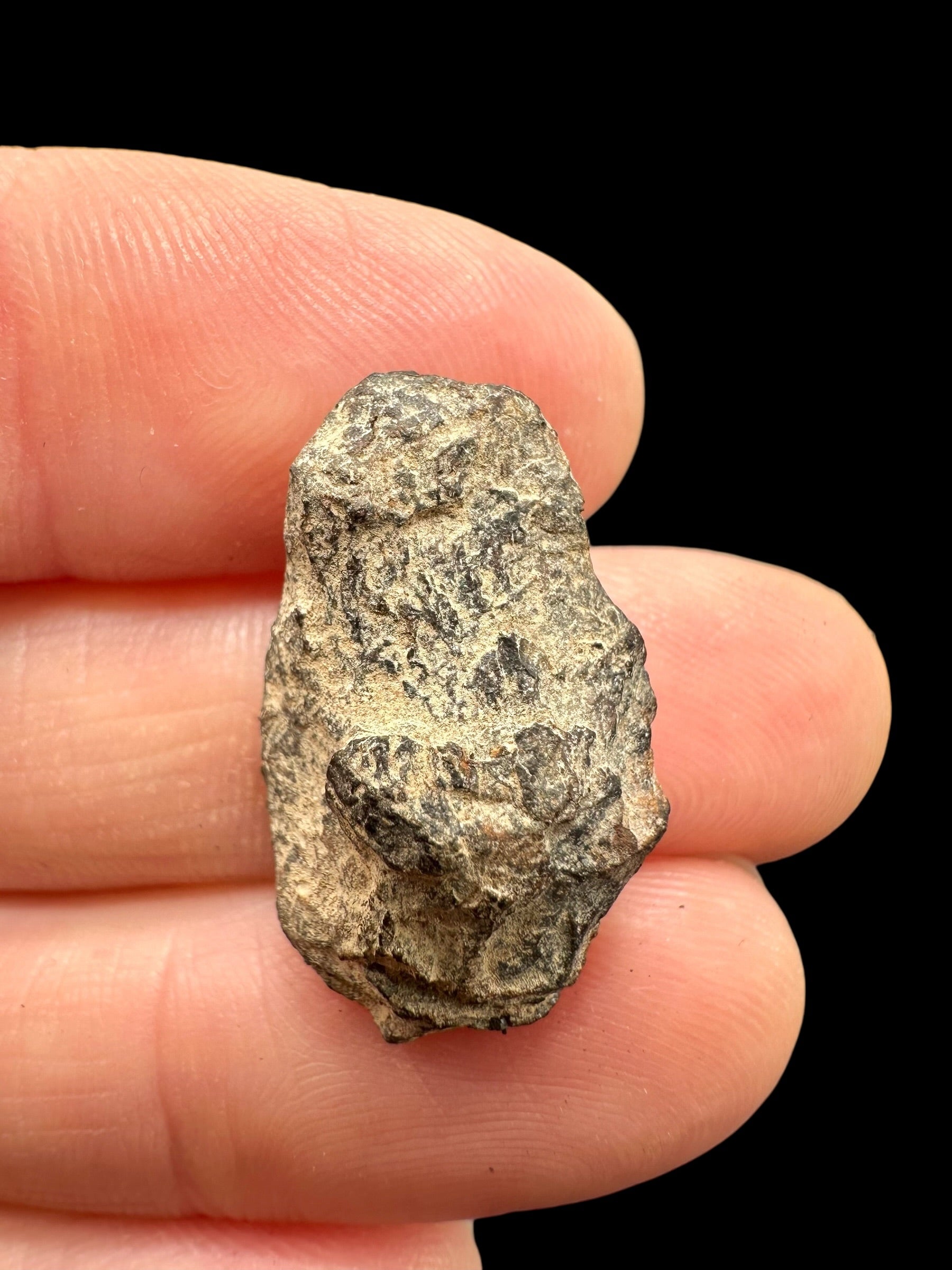 Meteorite Canyon Diablo 5,1g – Arizona, USA - MECD68