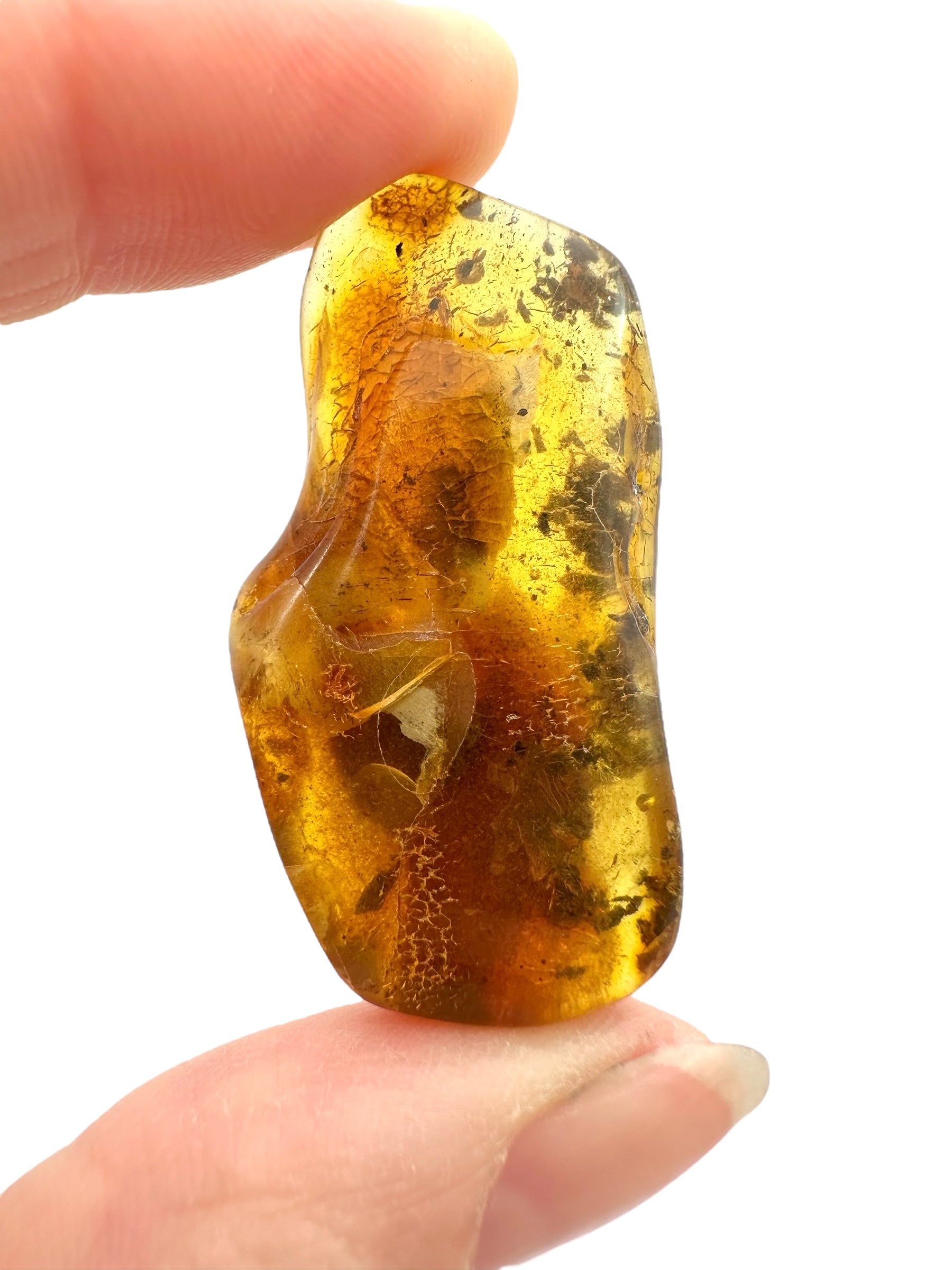 Amber – Rivne, Ukraine - JN265