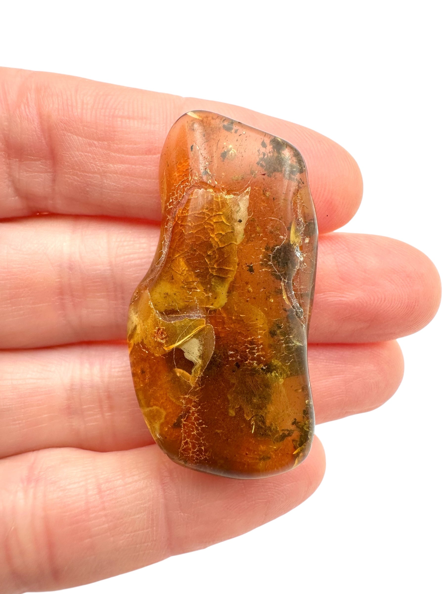 Amber – Rivne, Ukraine - JN265