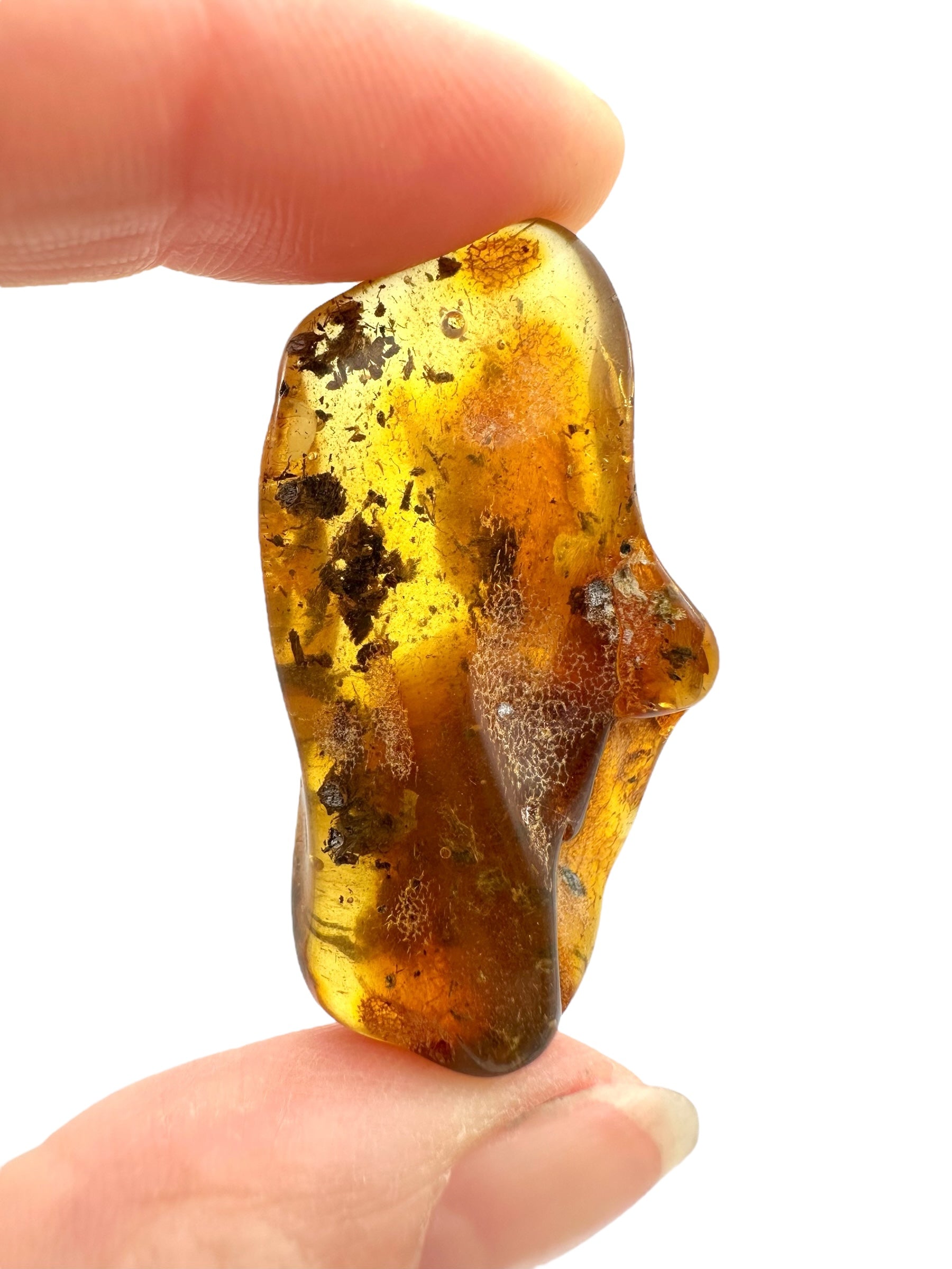 Amber – Rivne, Ukraine