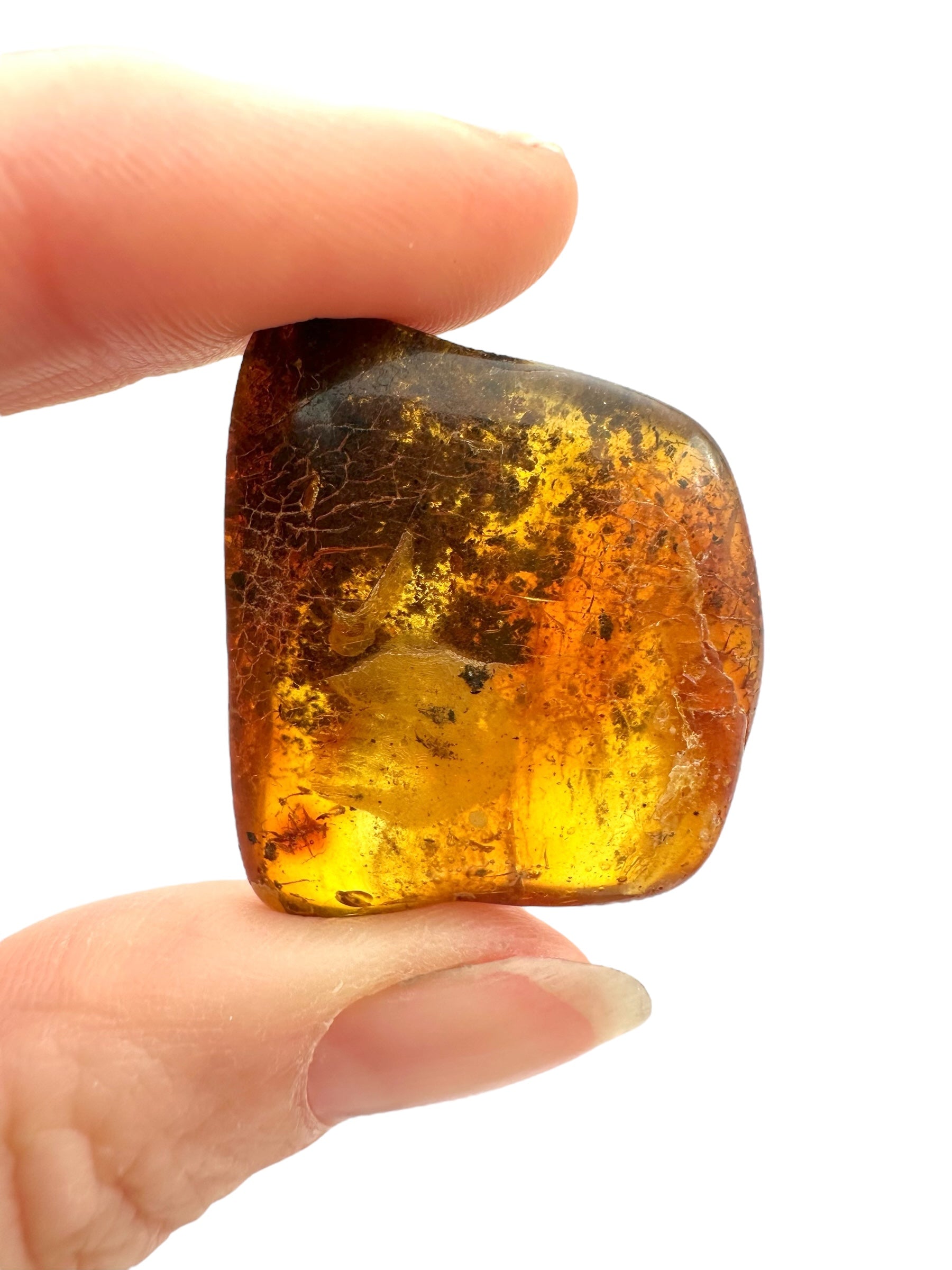 Amber – Rivne, Ukraine - JN267