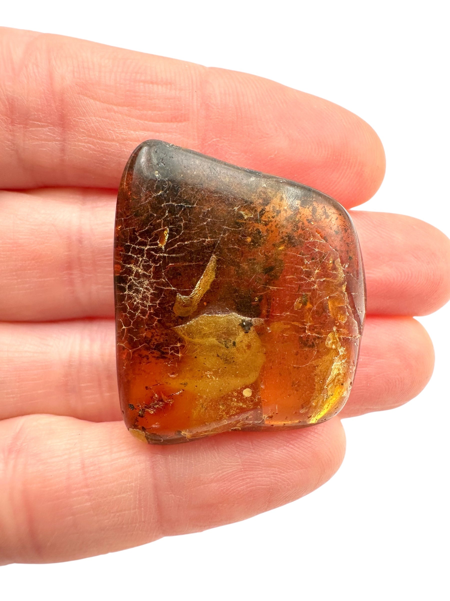 Amber – Rivne, Ukraine - JN267