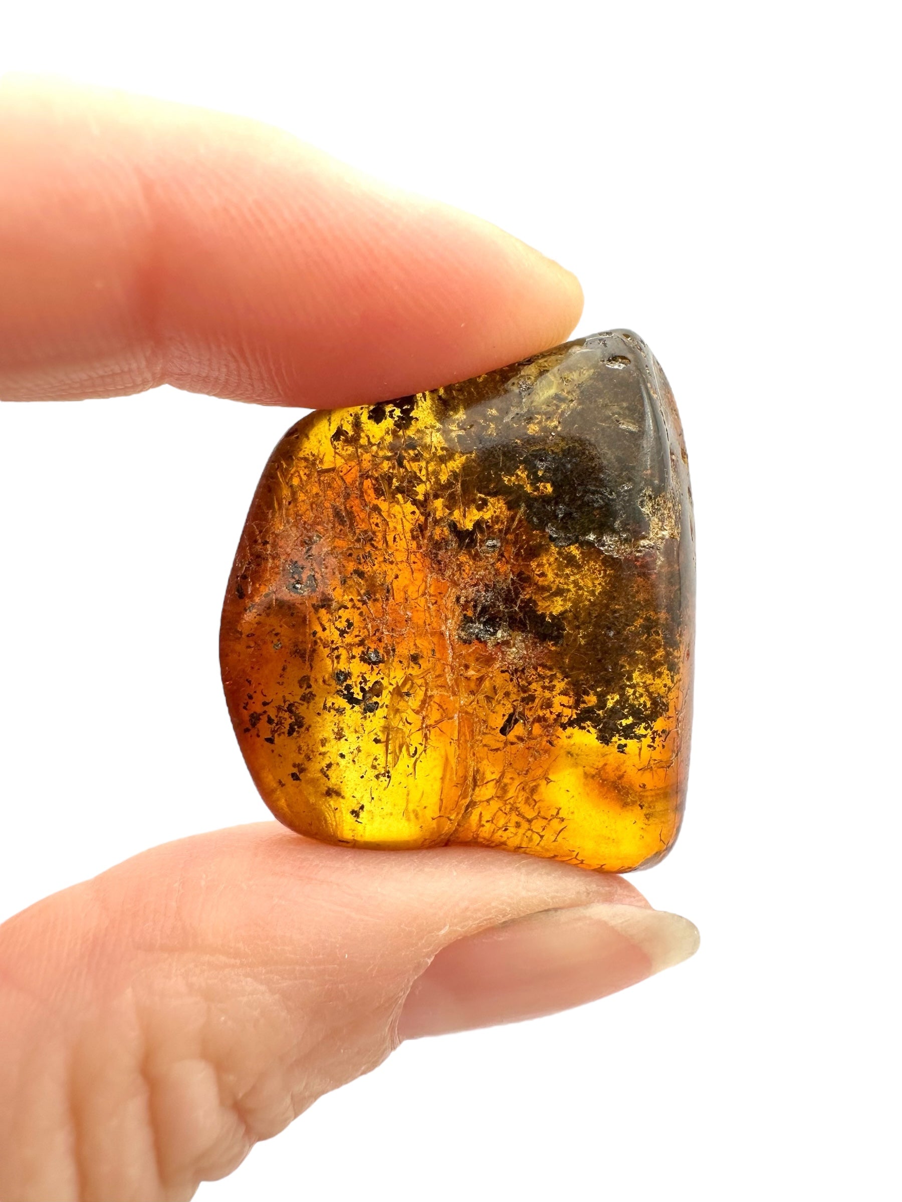Amber – Rivne, Ukraine