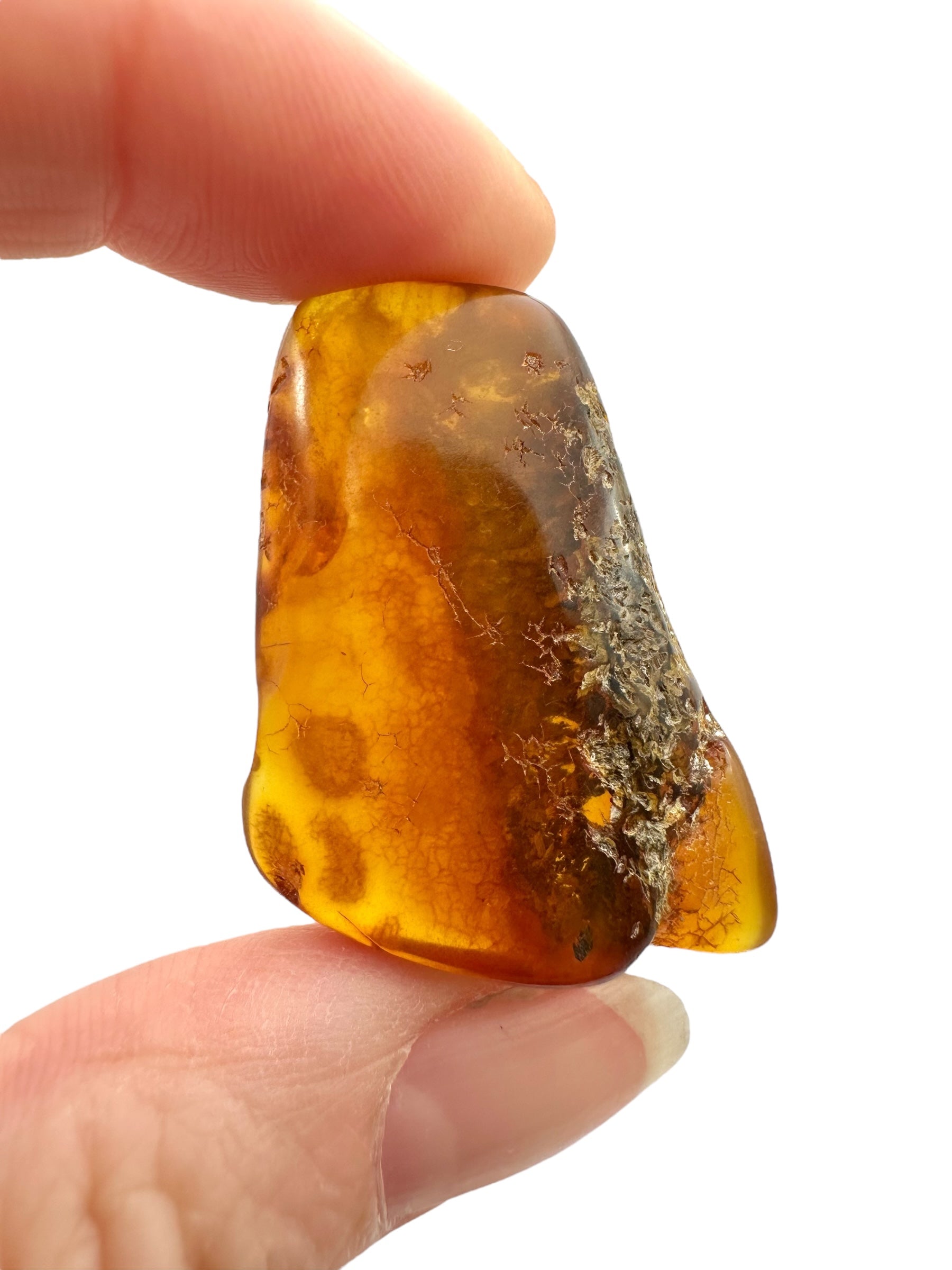 Amber – Rivne, Ukraine