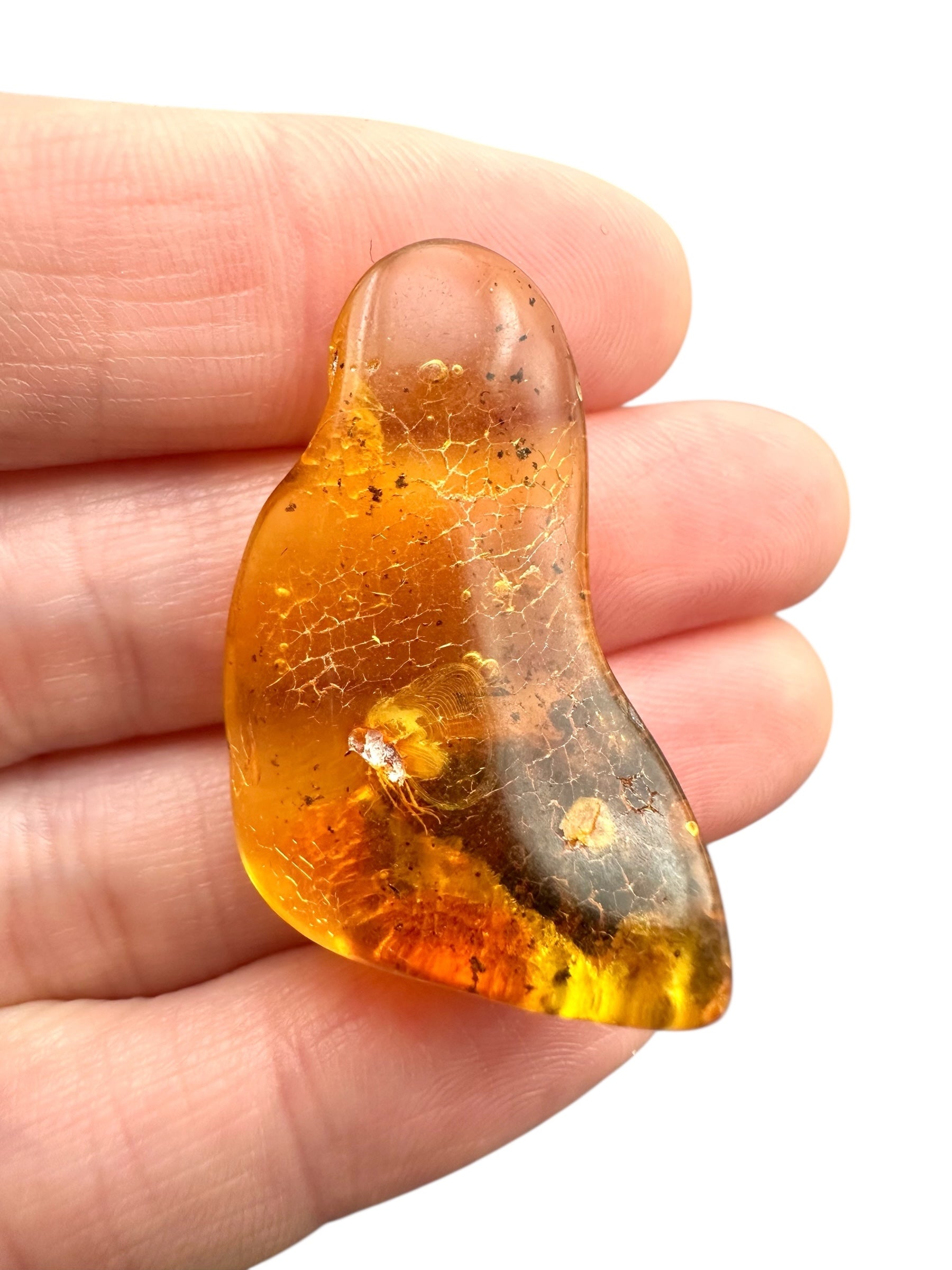 Amber – Rivne, Ukraine - JN273