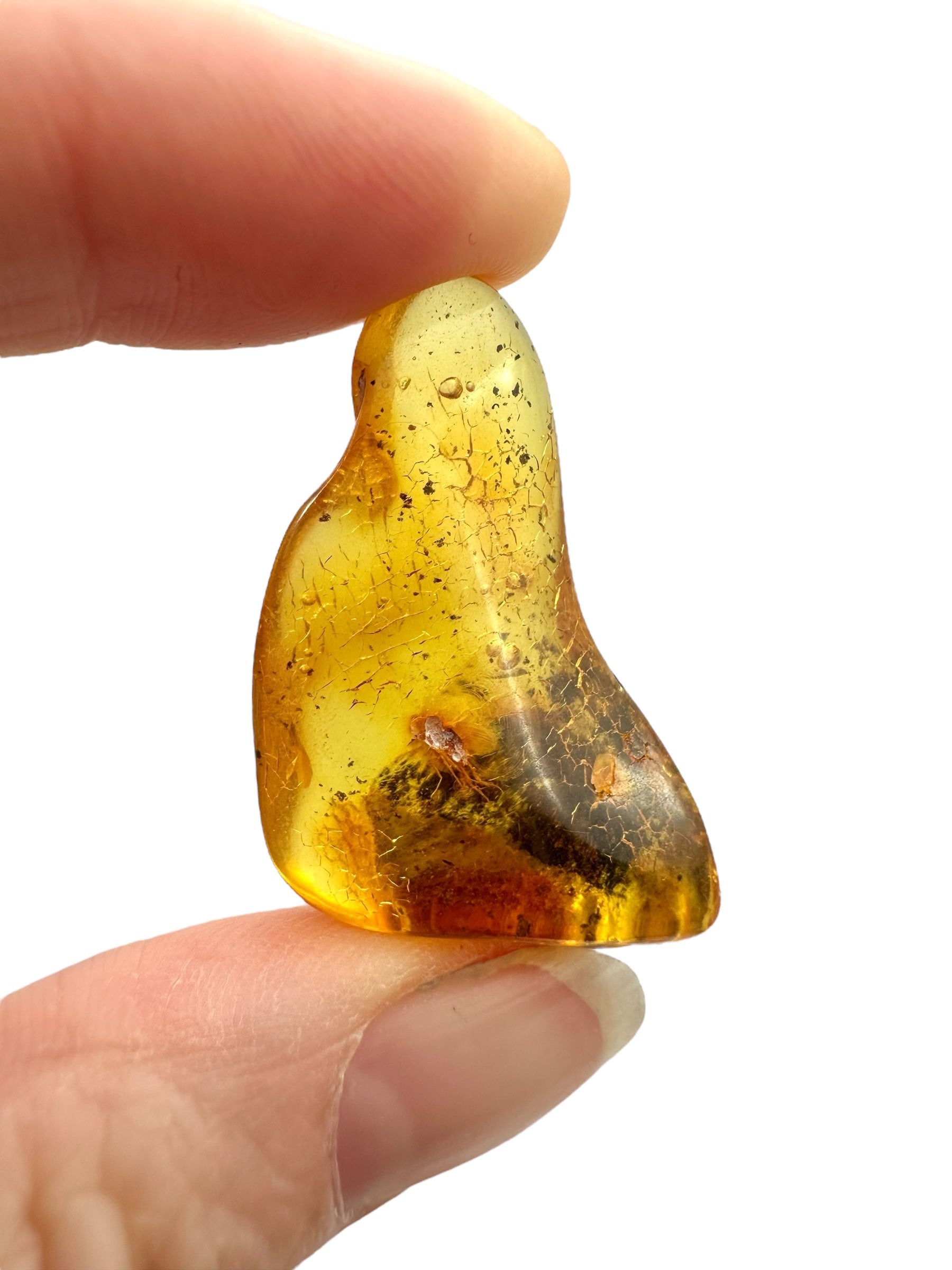 Amber – Rivne, Ukraine