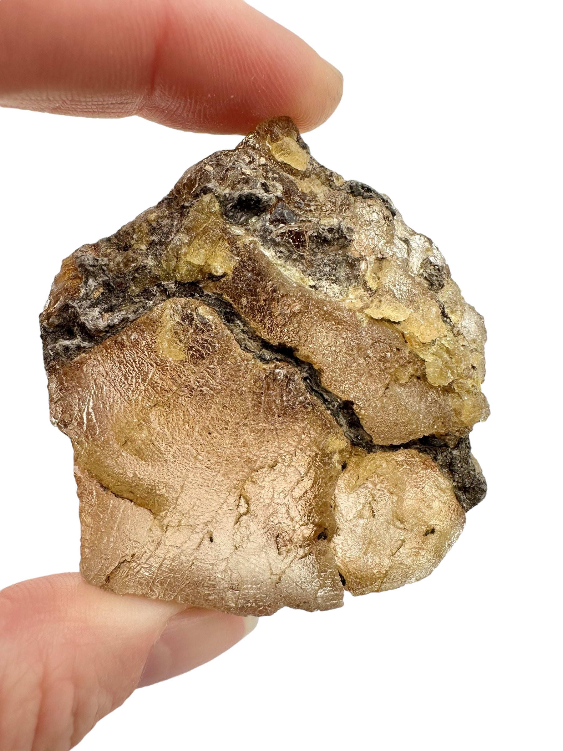Raw Young Amber (Copal) – Colombia - JN278