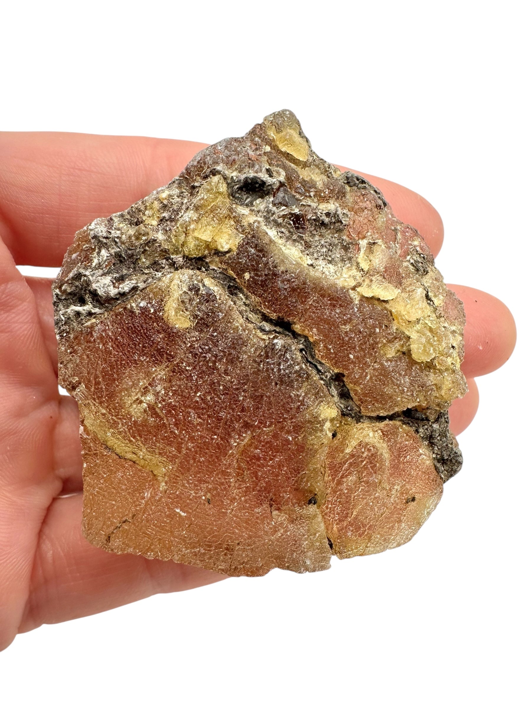 Raw Young Amber (Copal) – Colombia