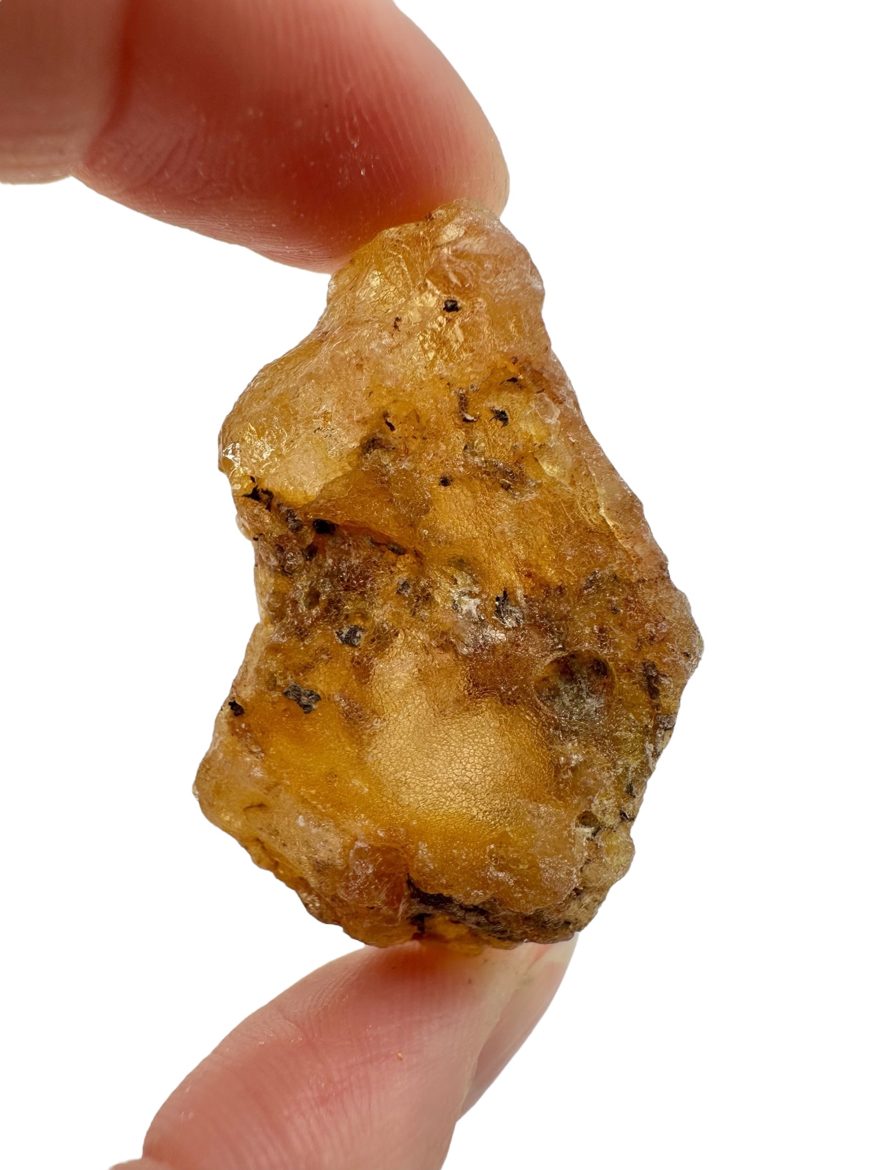 Raw Young Amber (Copal) – Colombia - JN279