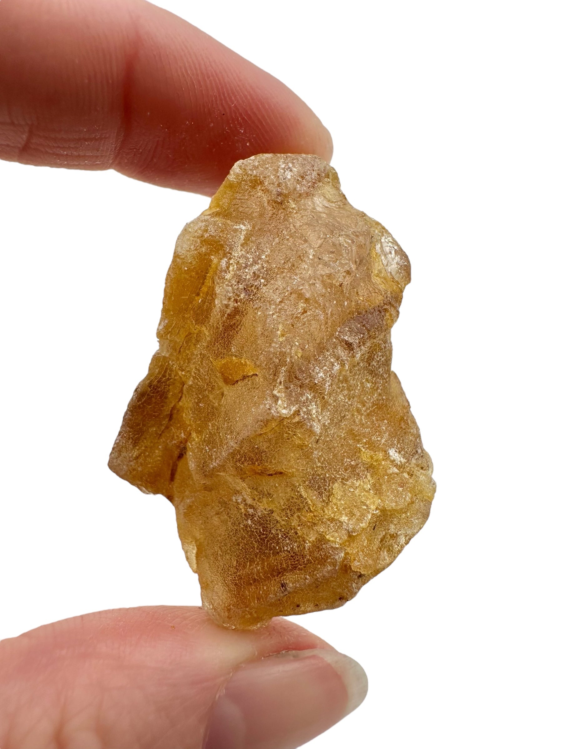 Raw Young Amber (Copal) – Colombia - JN279