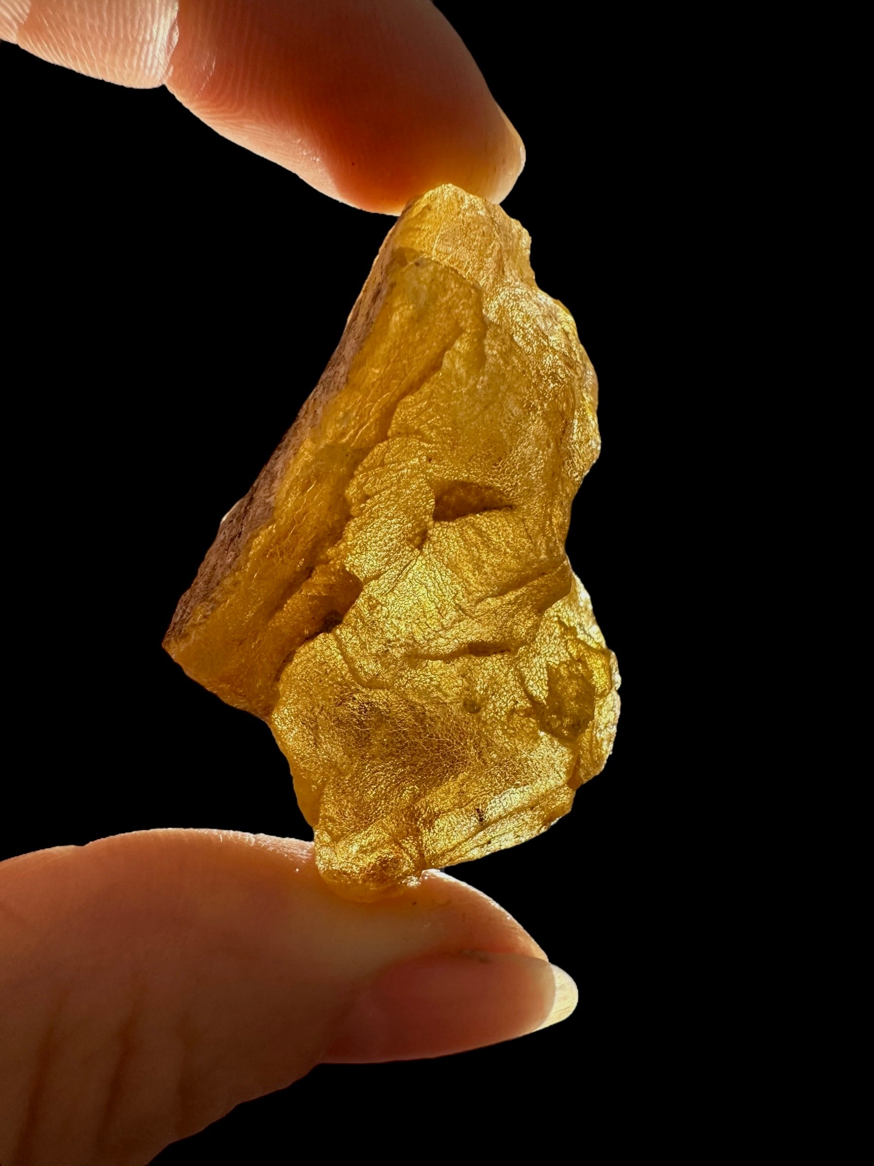 Raw Young Amber (Copal) – Colombia - JN279
