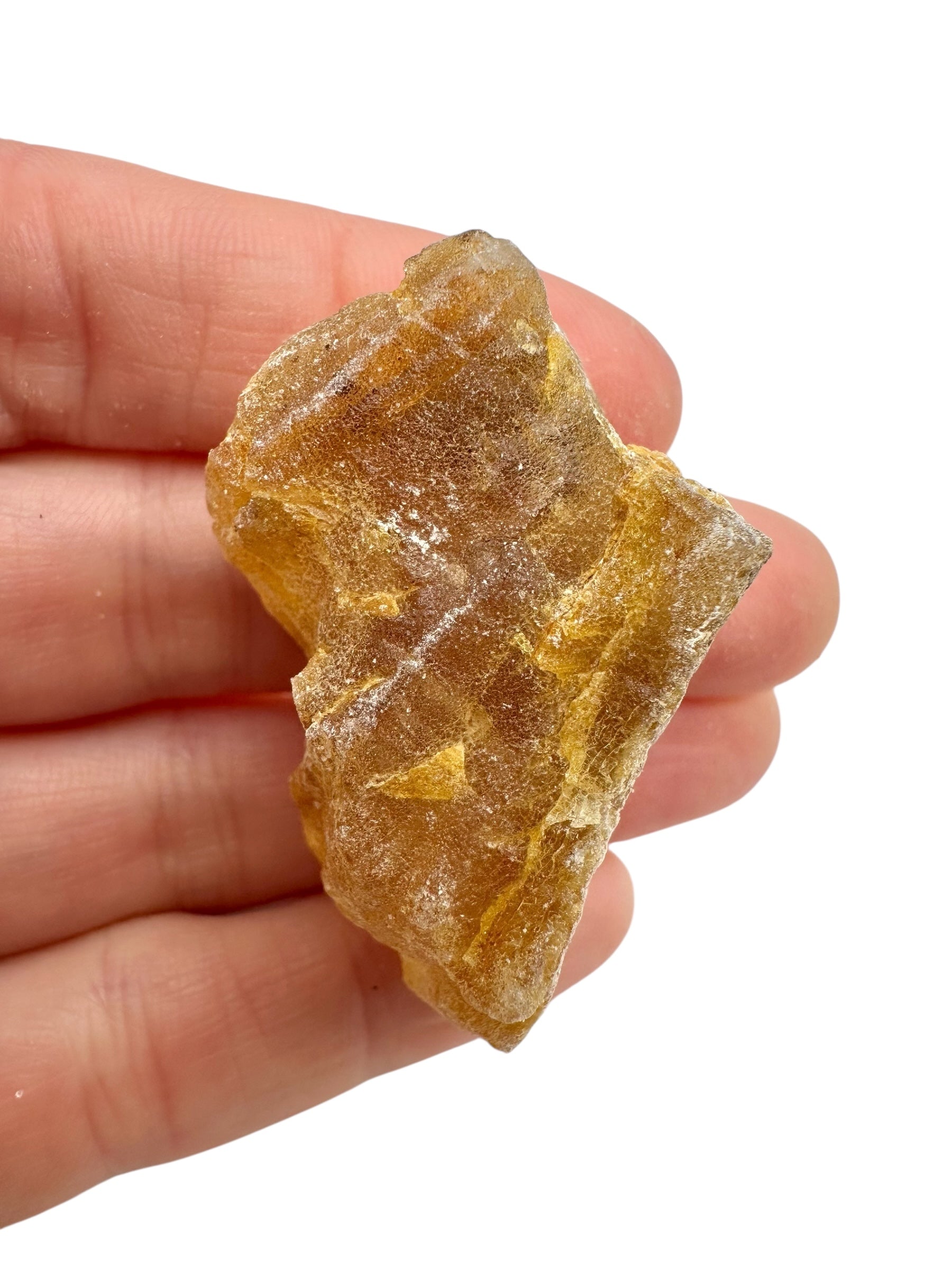 Raw Young Amber (Copal) – Colombia