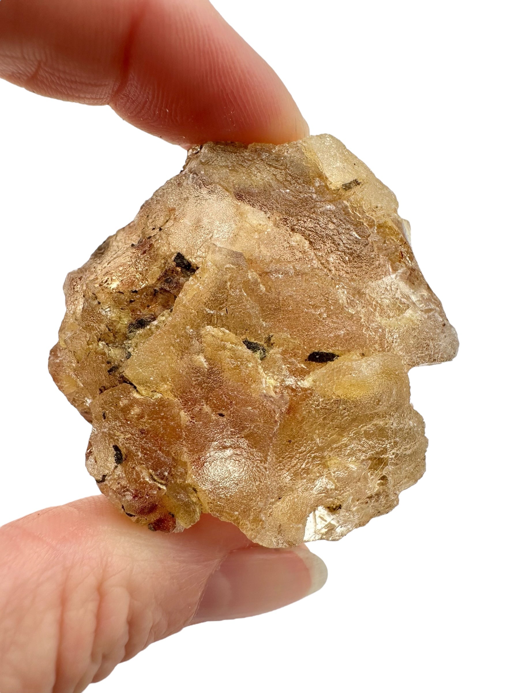Raw Young Amber (Copal) – Colombia - JN280