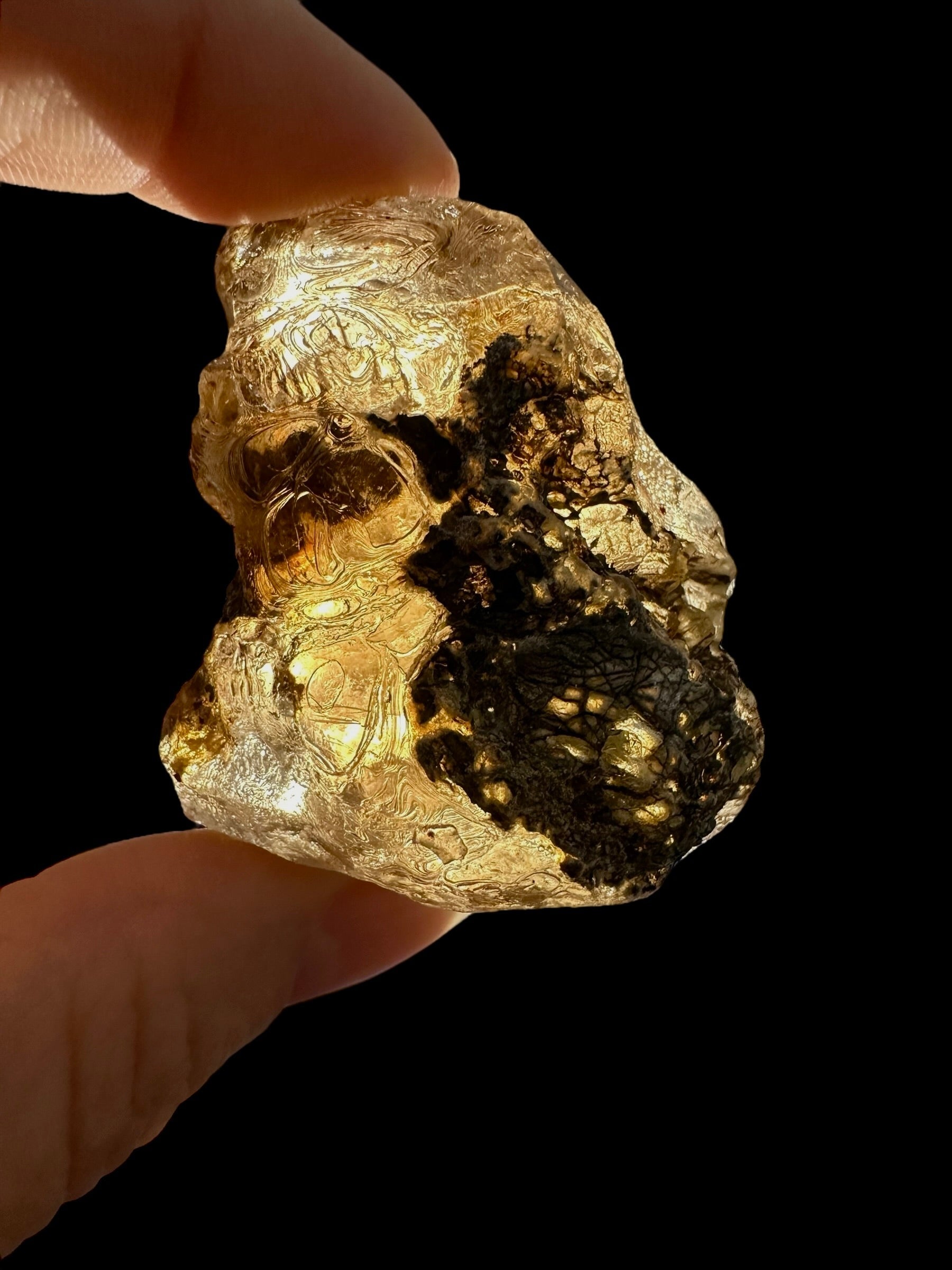 Raw Young Amber (Copal) – Colombia - JN281