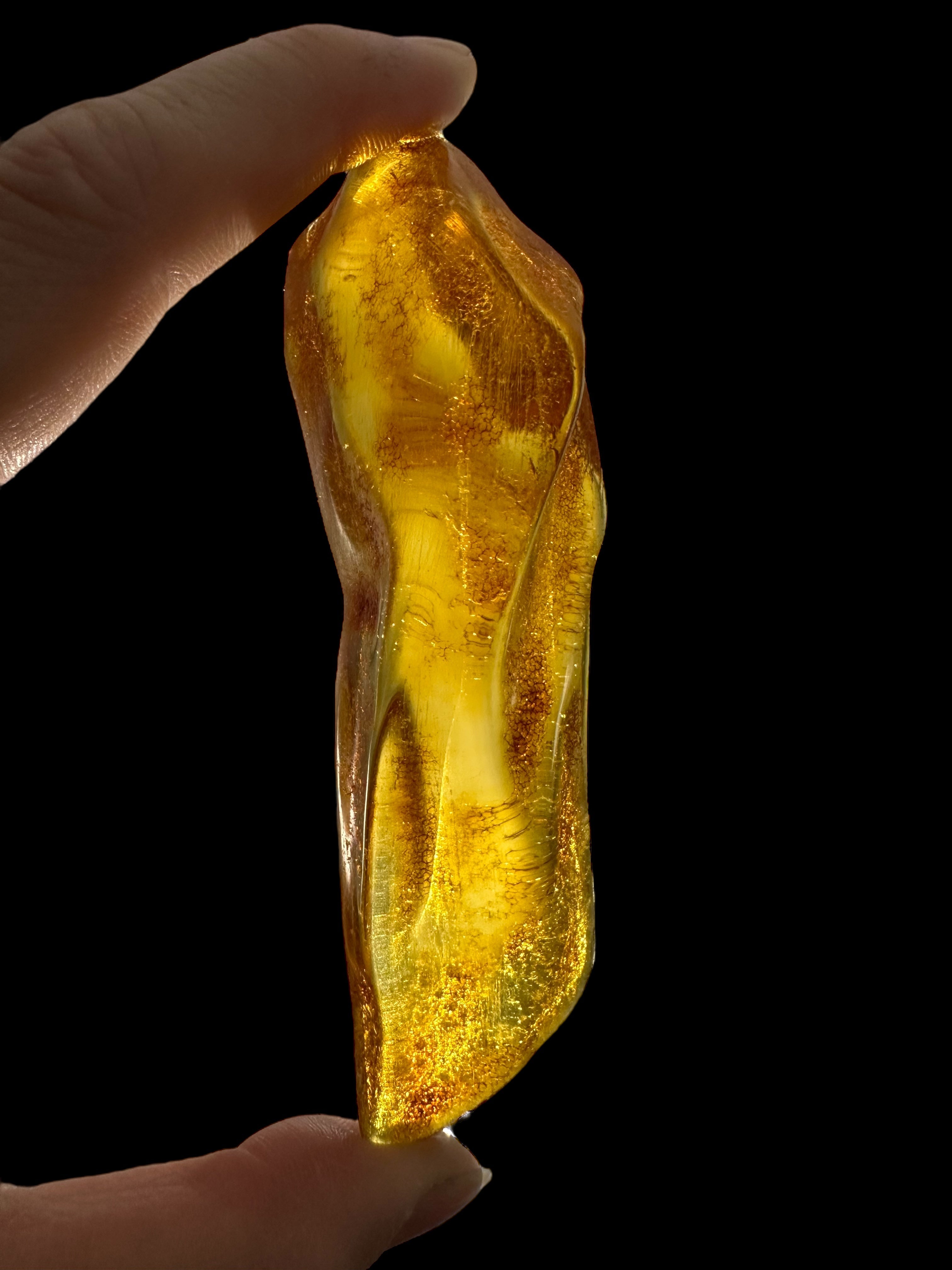 Young Amber (Copal) – Colombia - JN282