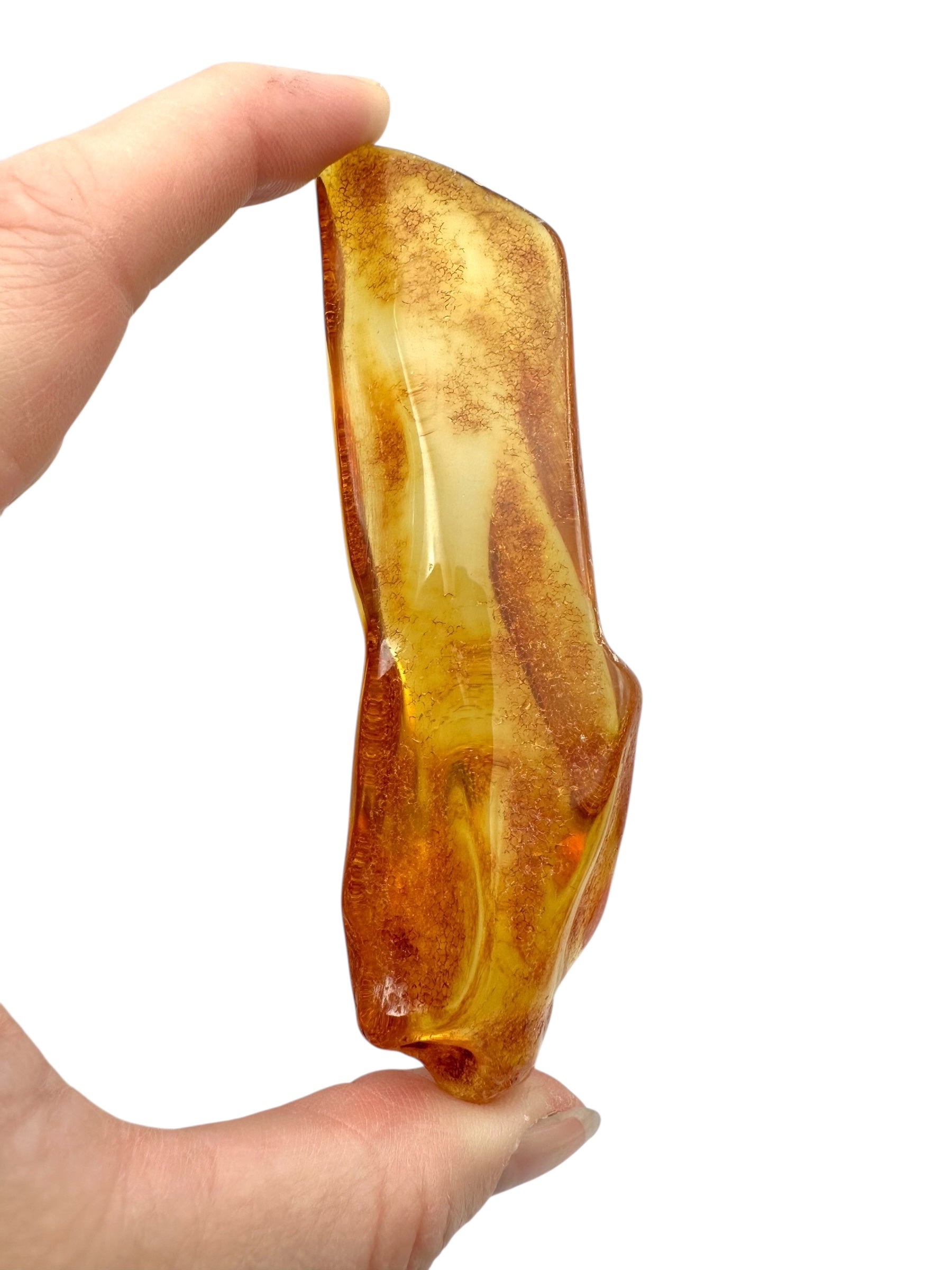 Young Amber (Copal) – Colombia - JN282