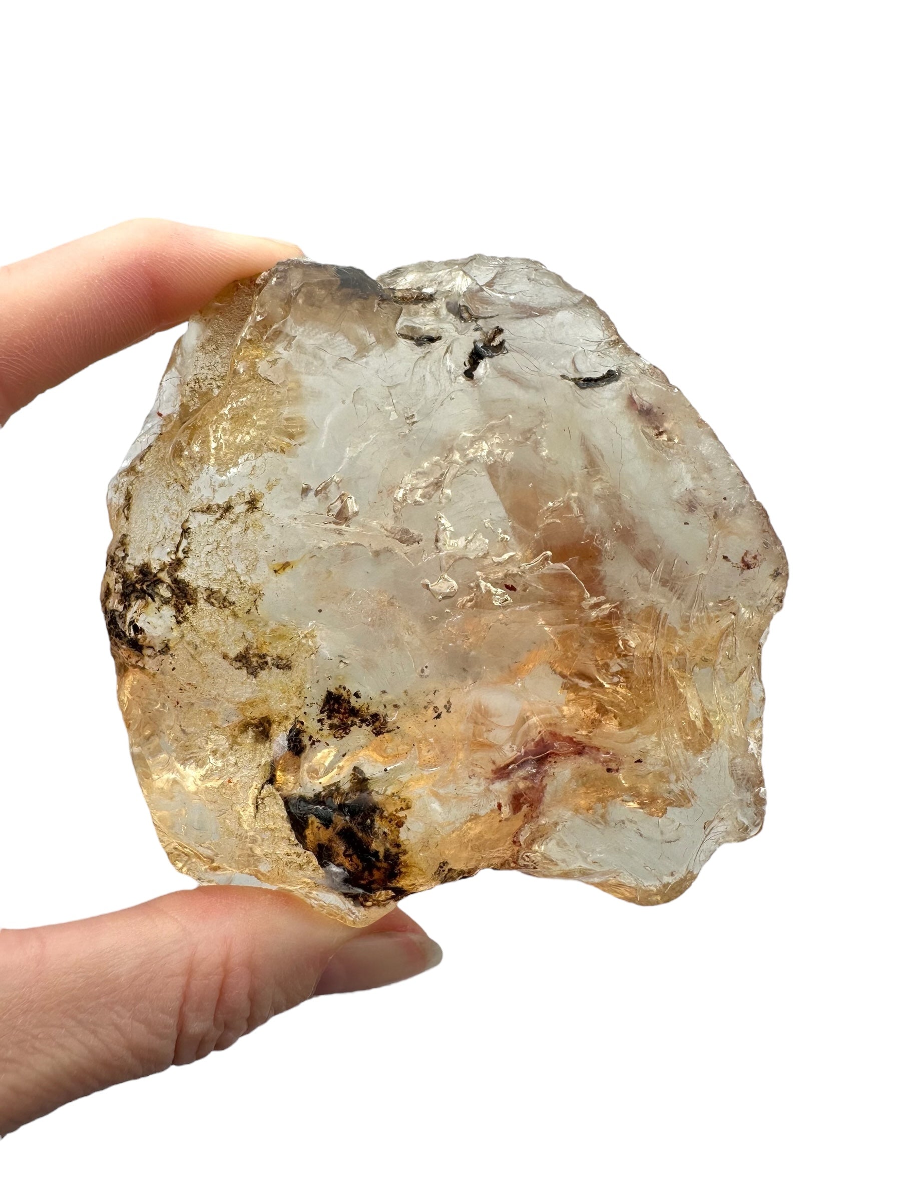 Young Amber (Copal) – Colombia - JN283