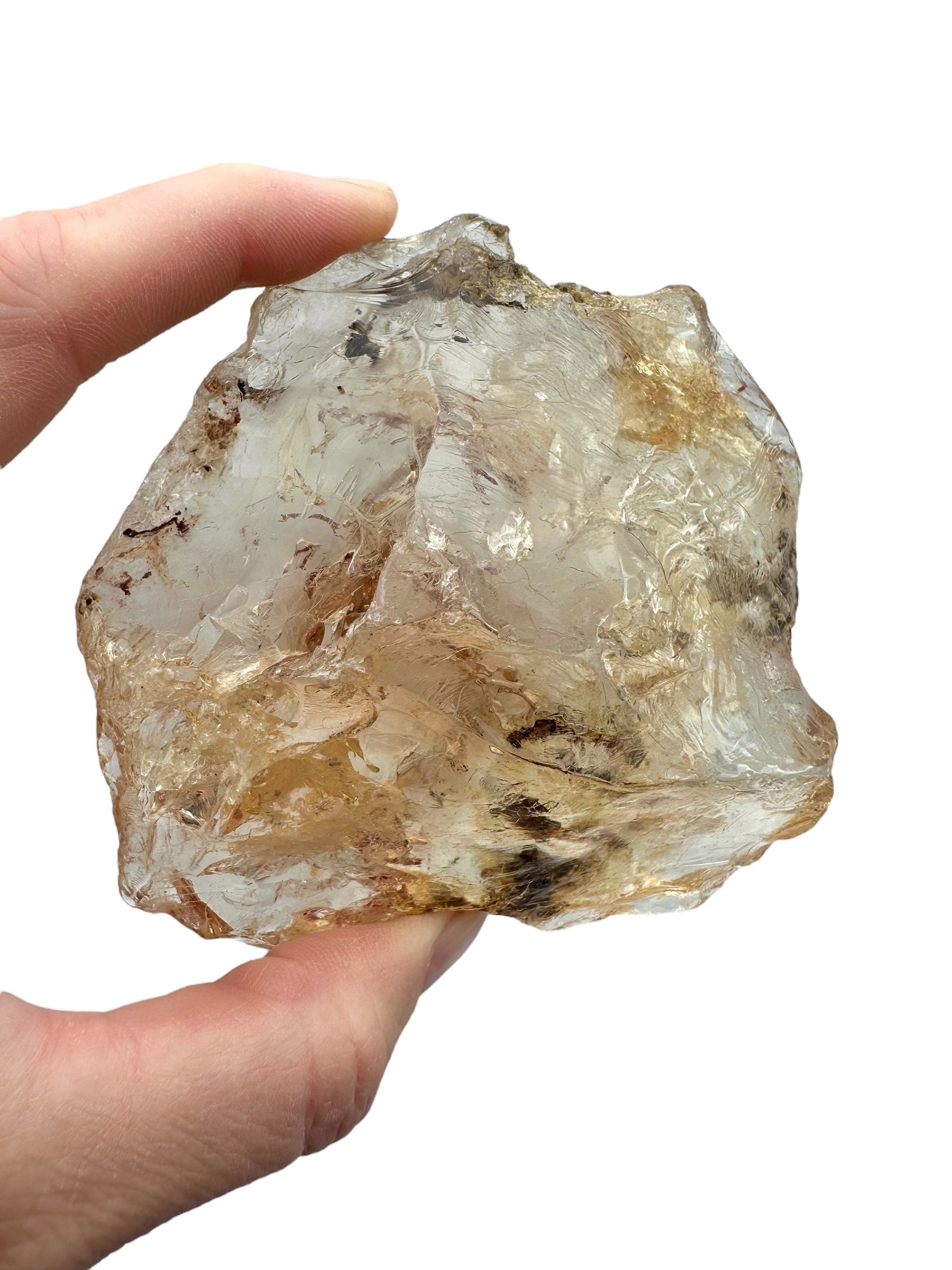 Young Amber (Copal) – Colombia - JN283