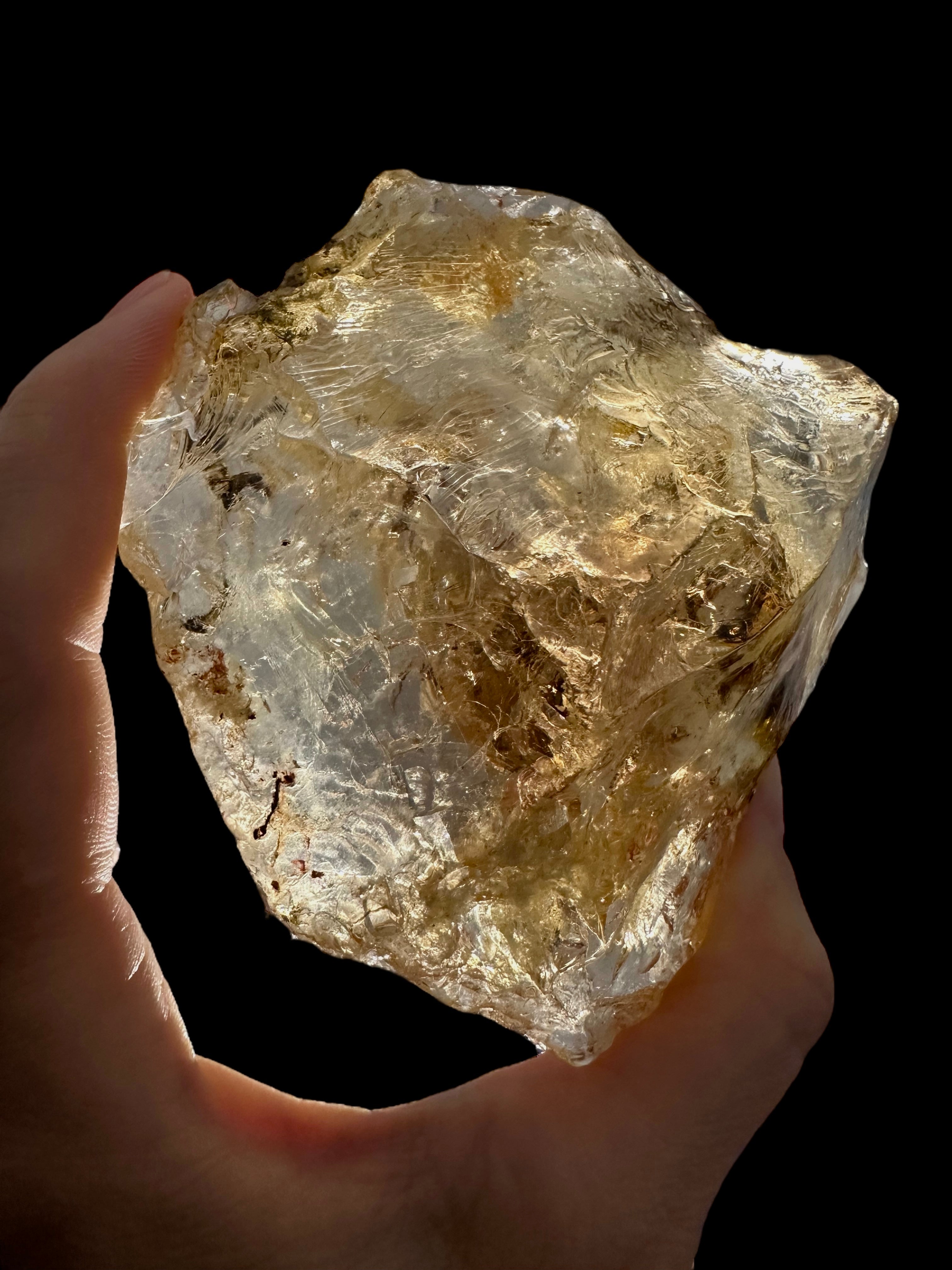 Young Amber (Copal) – Colombia - JN283