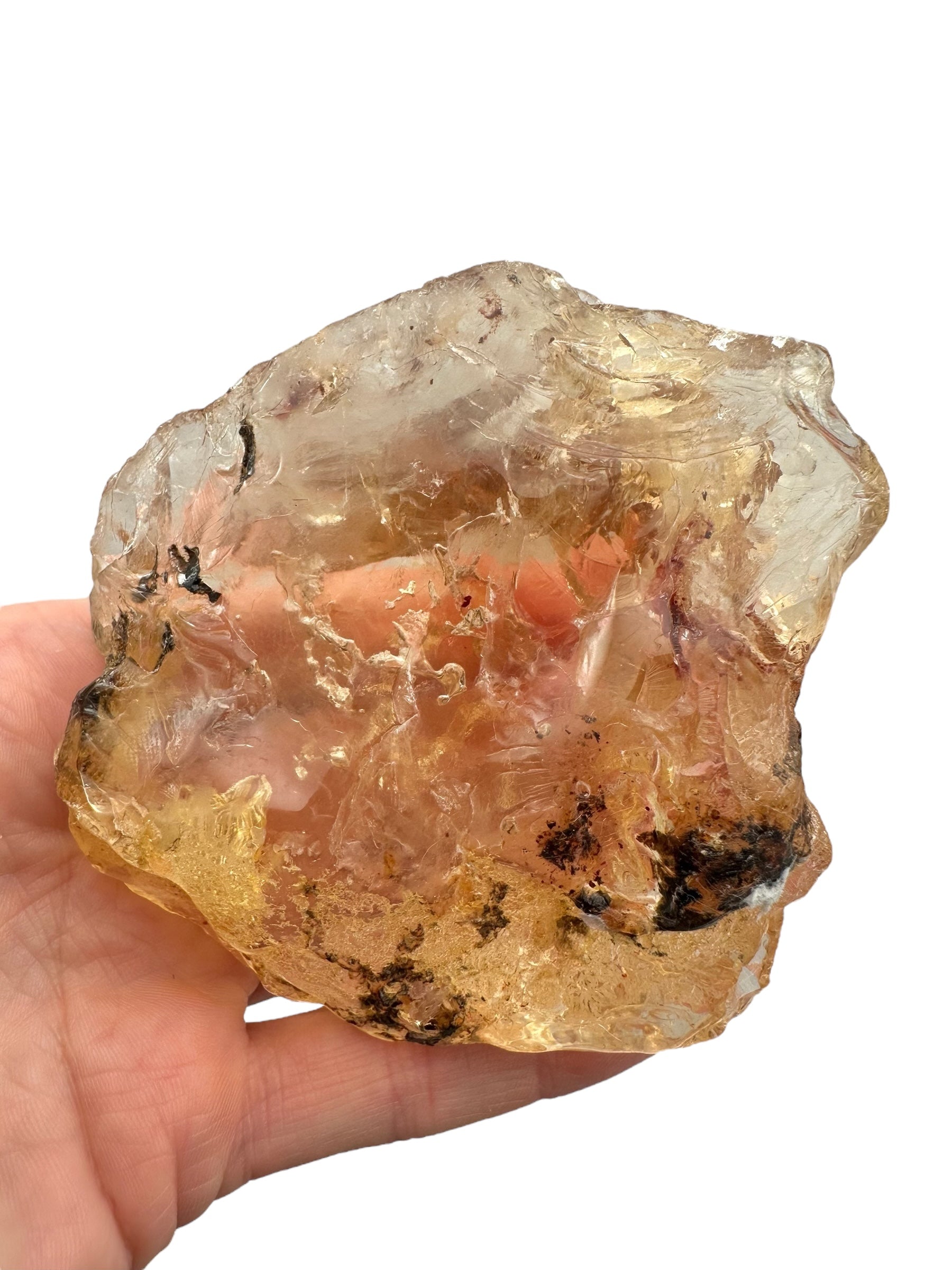 Young Amber (Copal) – Colombia