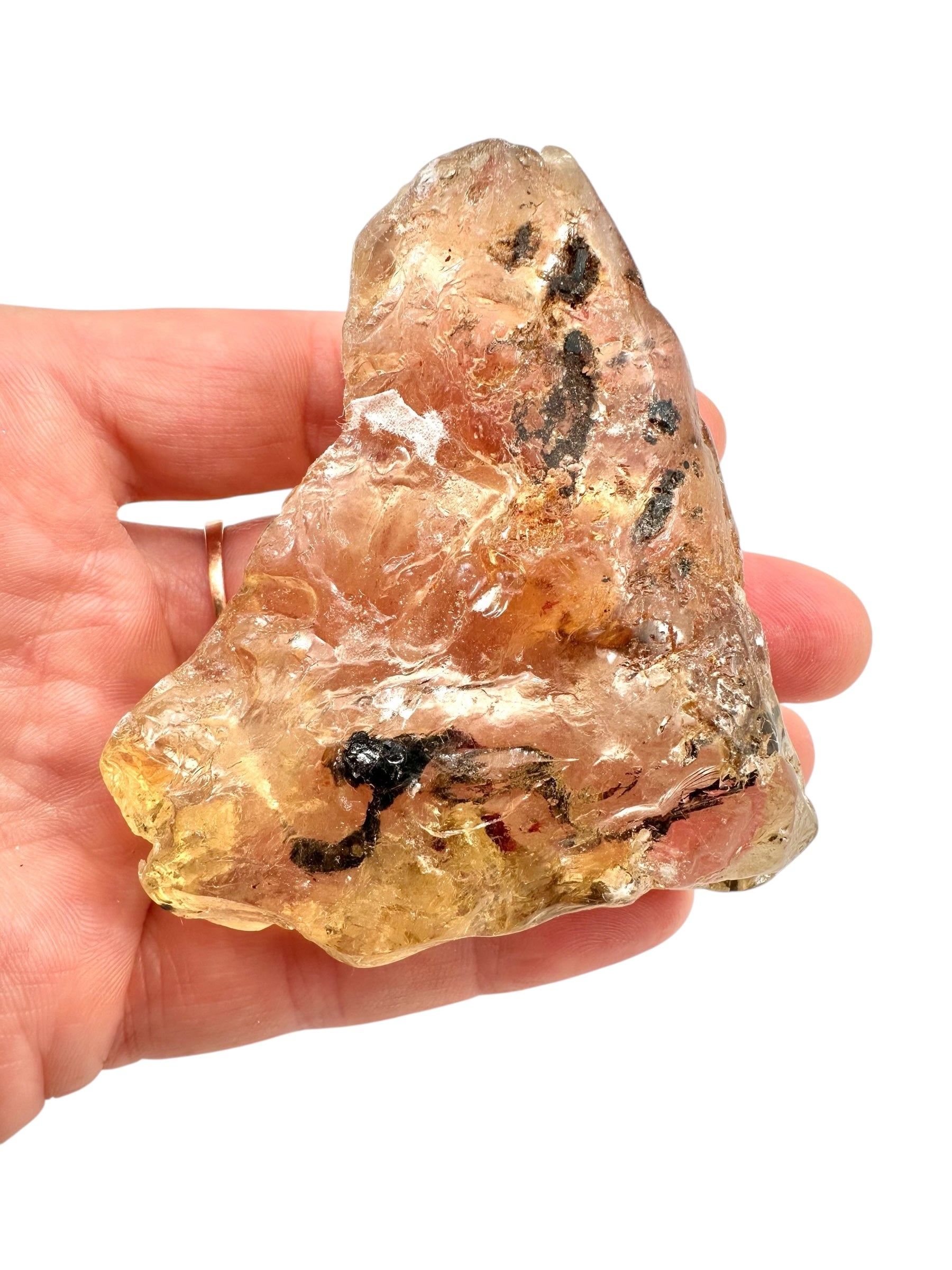 Young Amber (Copal) – Colombia - JN284