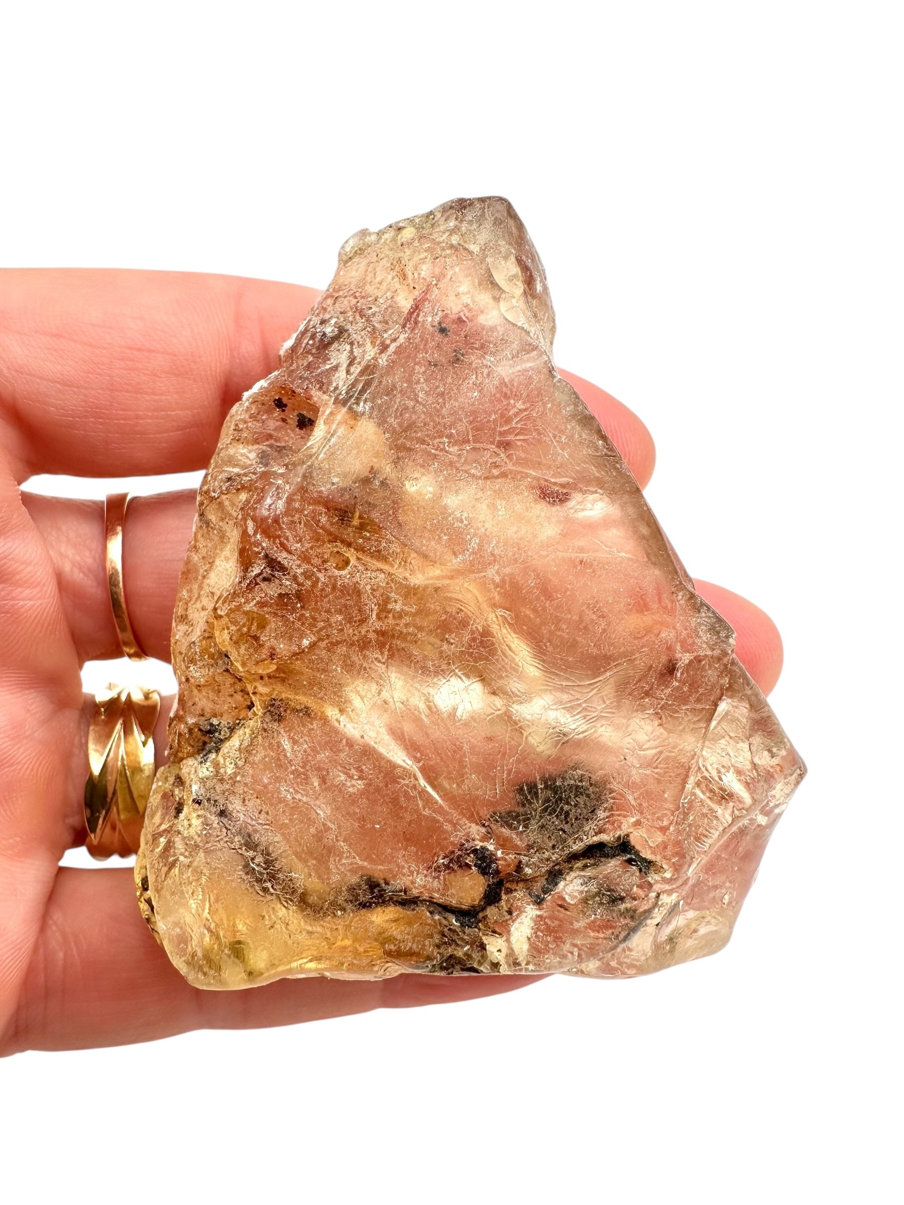 Young Amber (Copal) – Colombia