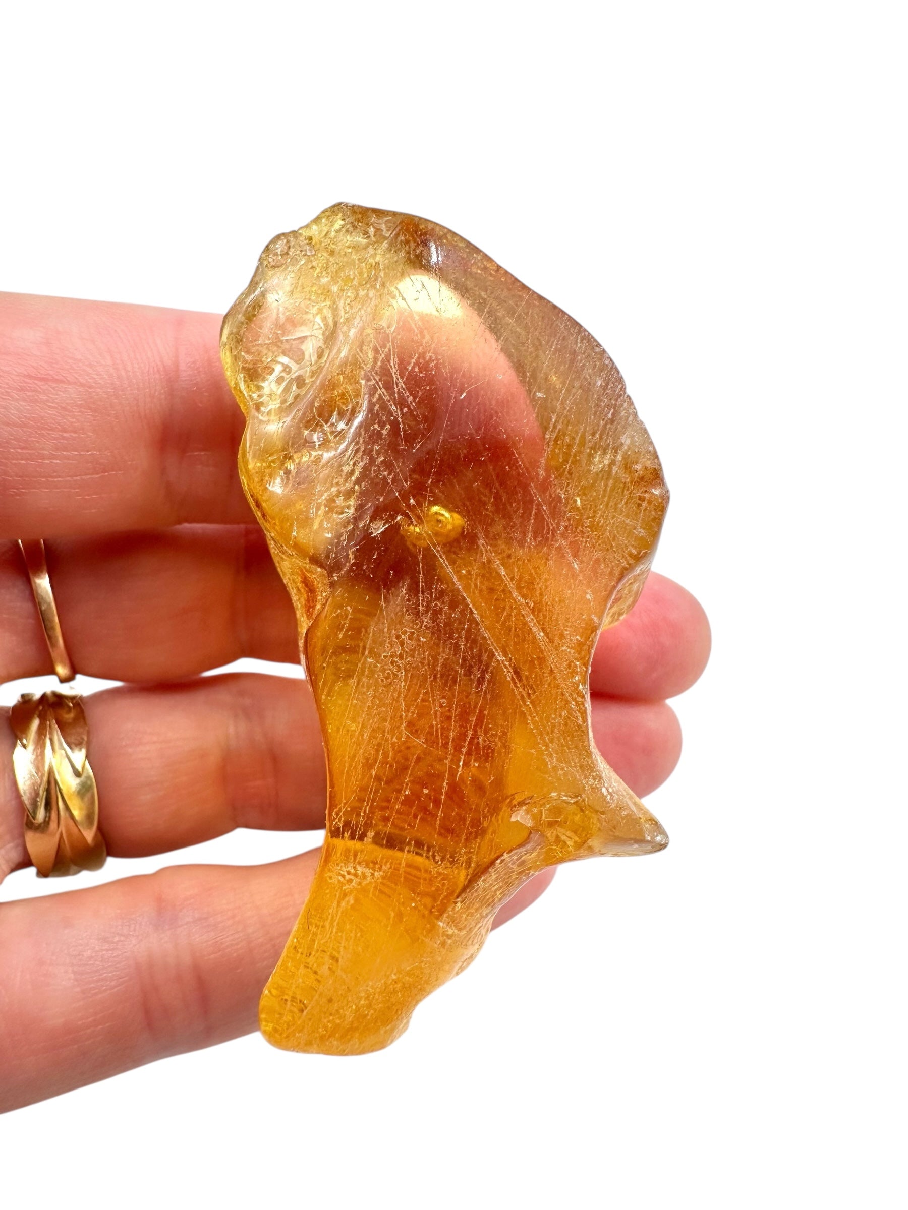 Young Amber (Copal) – Colombia - JN285