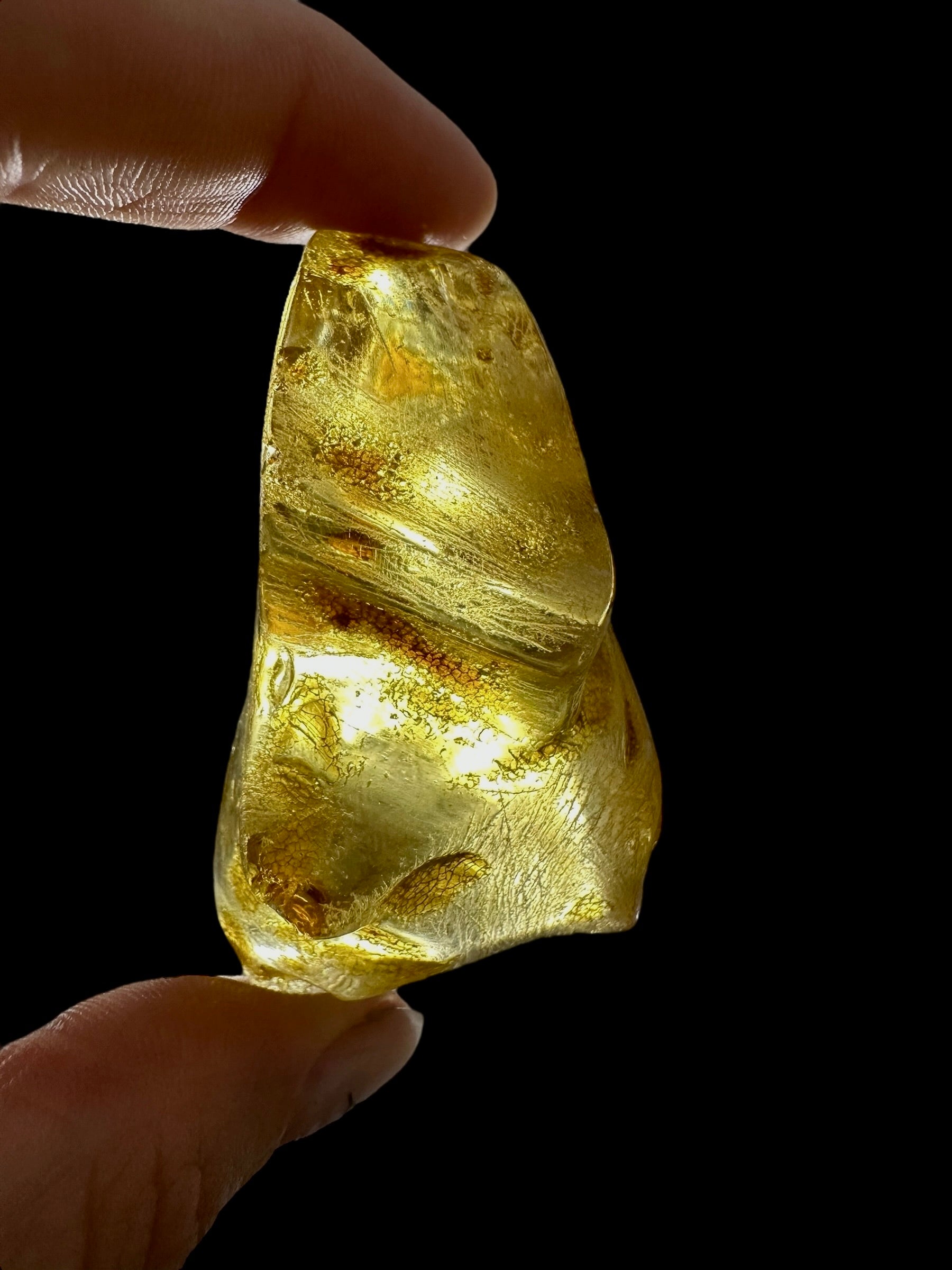 Young Amber (Copal) – Colombia - JN285